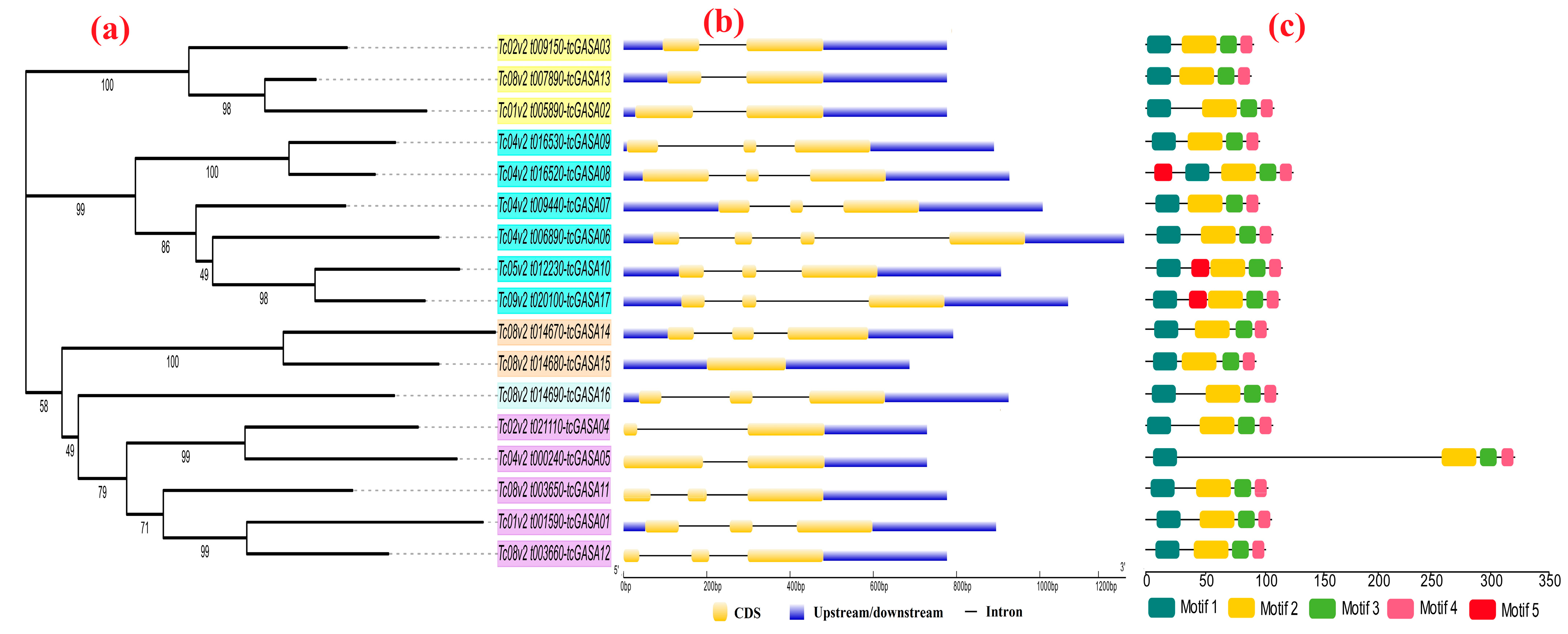 Agronomy 11 01425 g005 Agronomy 11 01425 g005