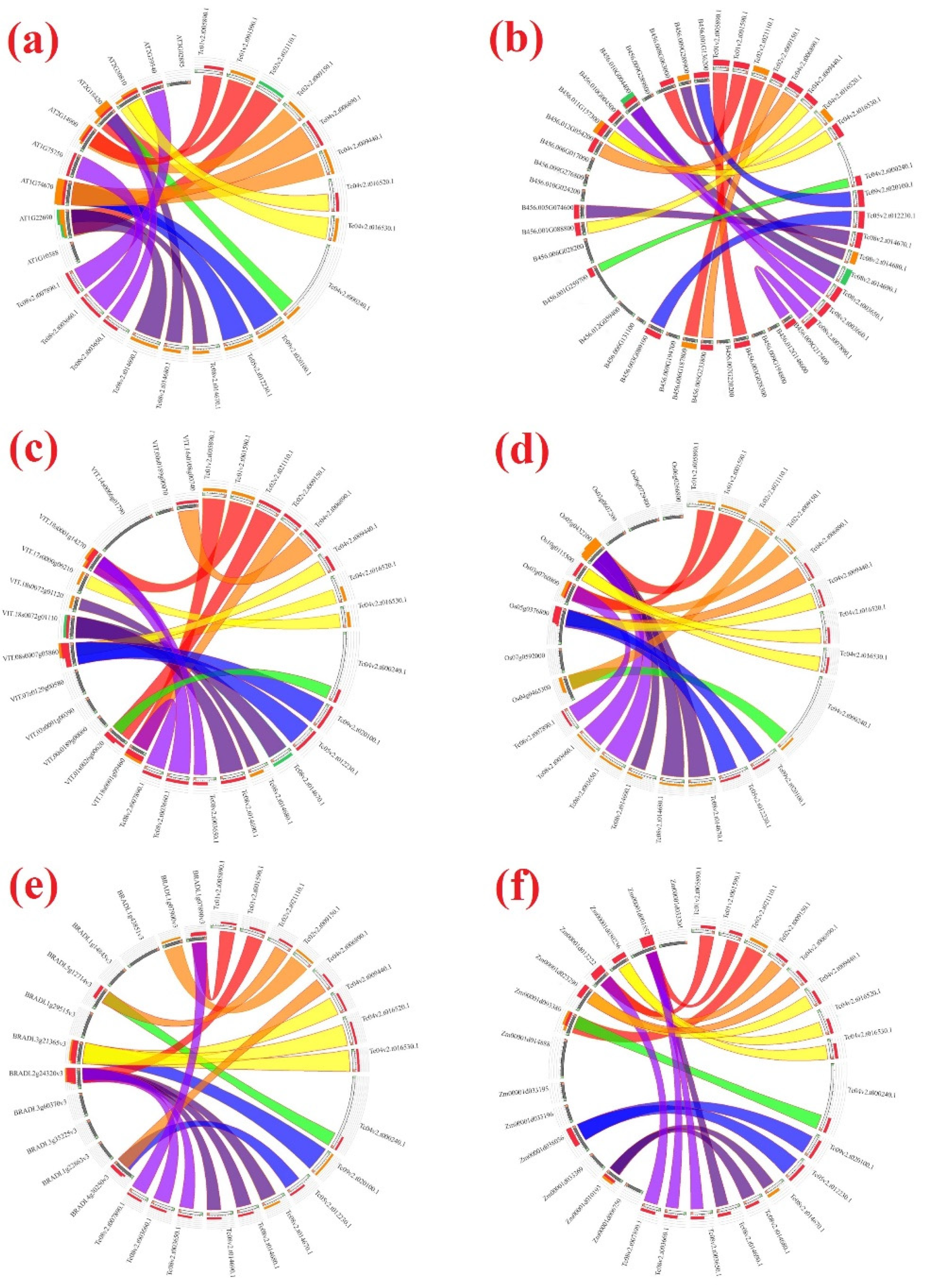 Agronomy 11 01425 g006 Agronomy 11 01425 g006