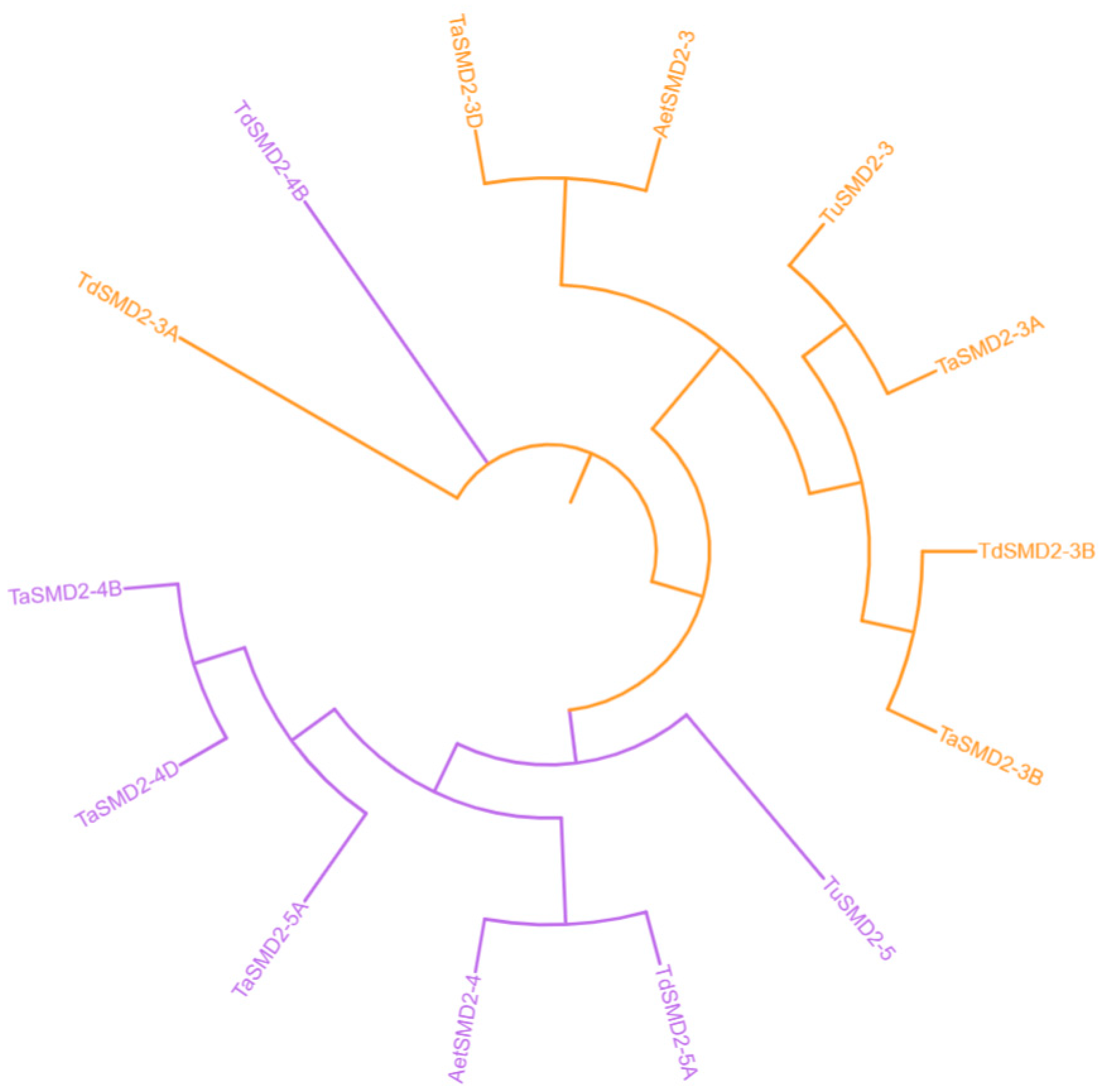 Agronomy 11 01429 g003