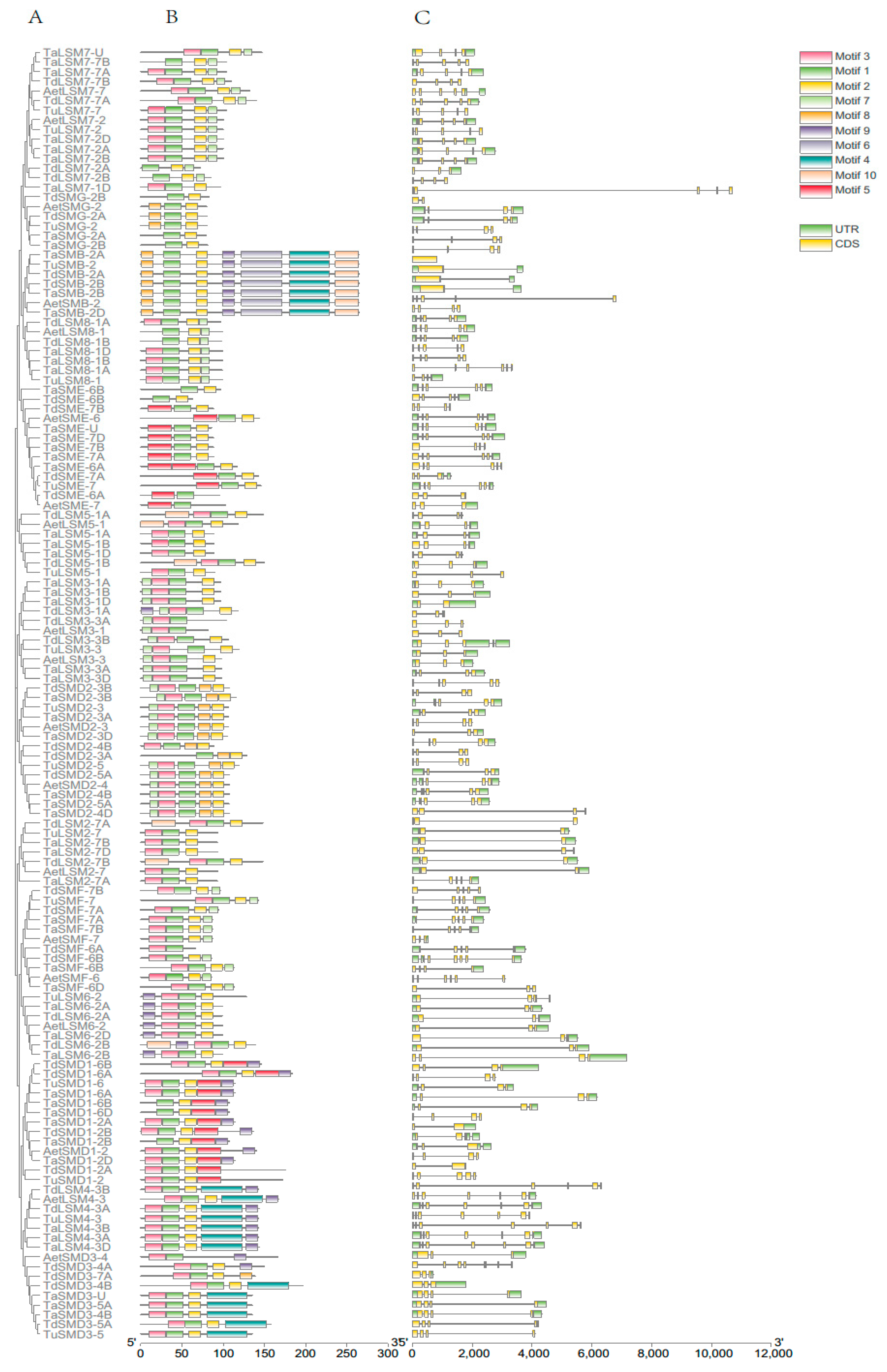 Agronomy 11 01429 g005