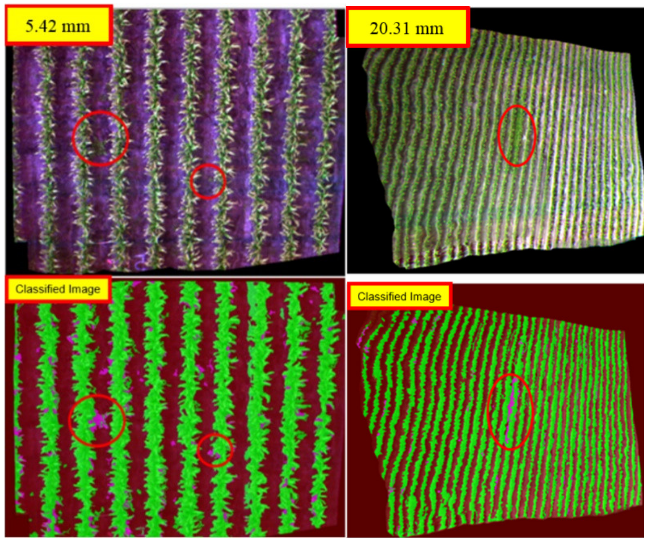 Agronomy 11 01435 g005 Agronomy 11 01435 g005