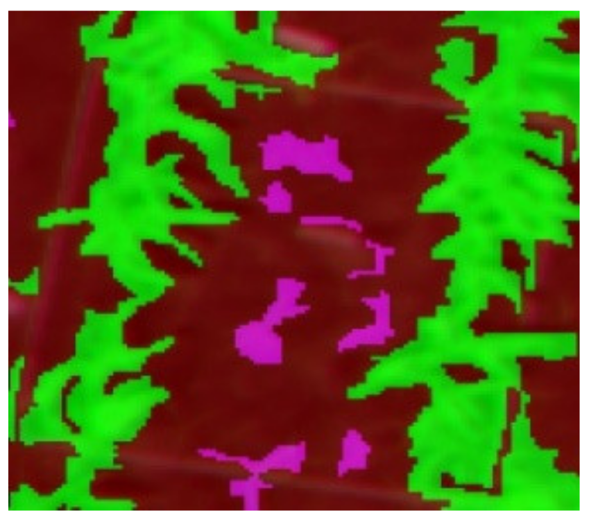 Agronomy 11 01435 i002 Agronomy 11 01435 i002