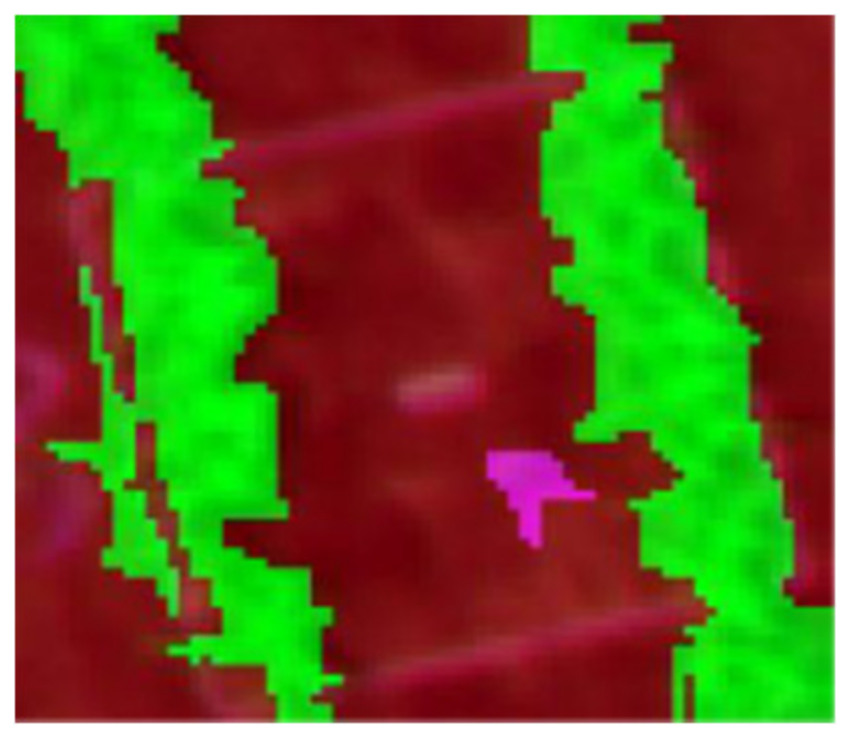 Agronomy 11 01435 i009 Agronomy 11 01435 i009