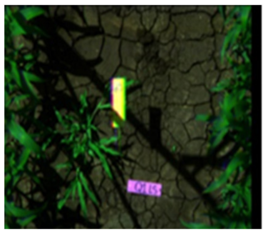 Agronomy 11 01435 i010 Agronomy 11 01435 i010