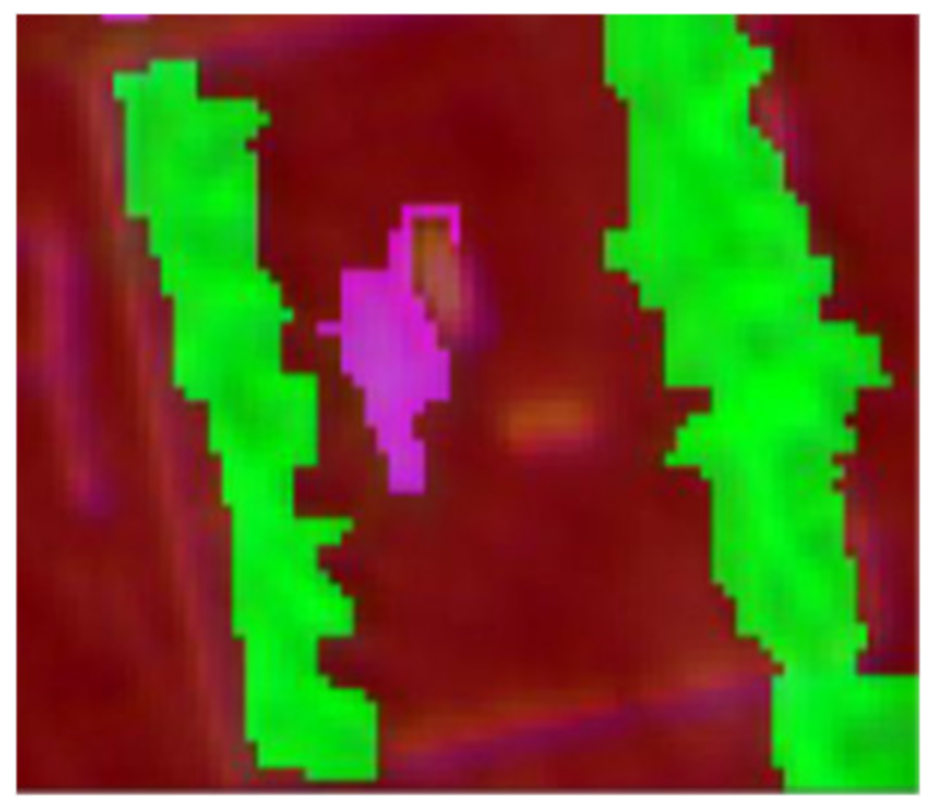 Agronomy 11 01435 i012 Agronomy 11 01435 i012