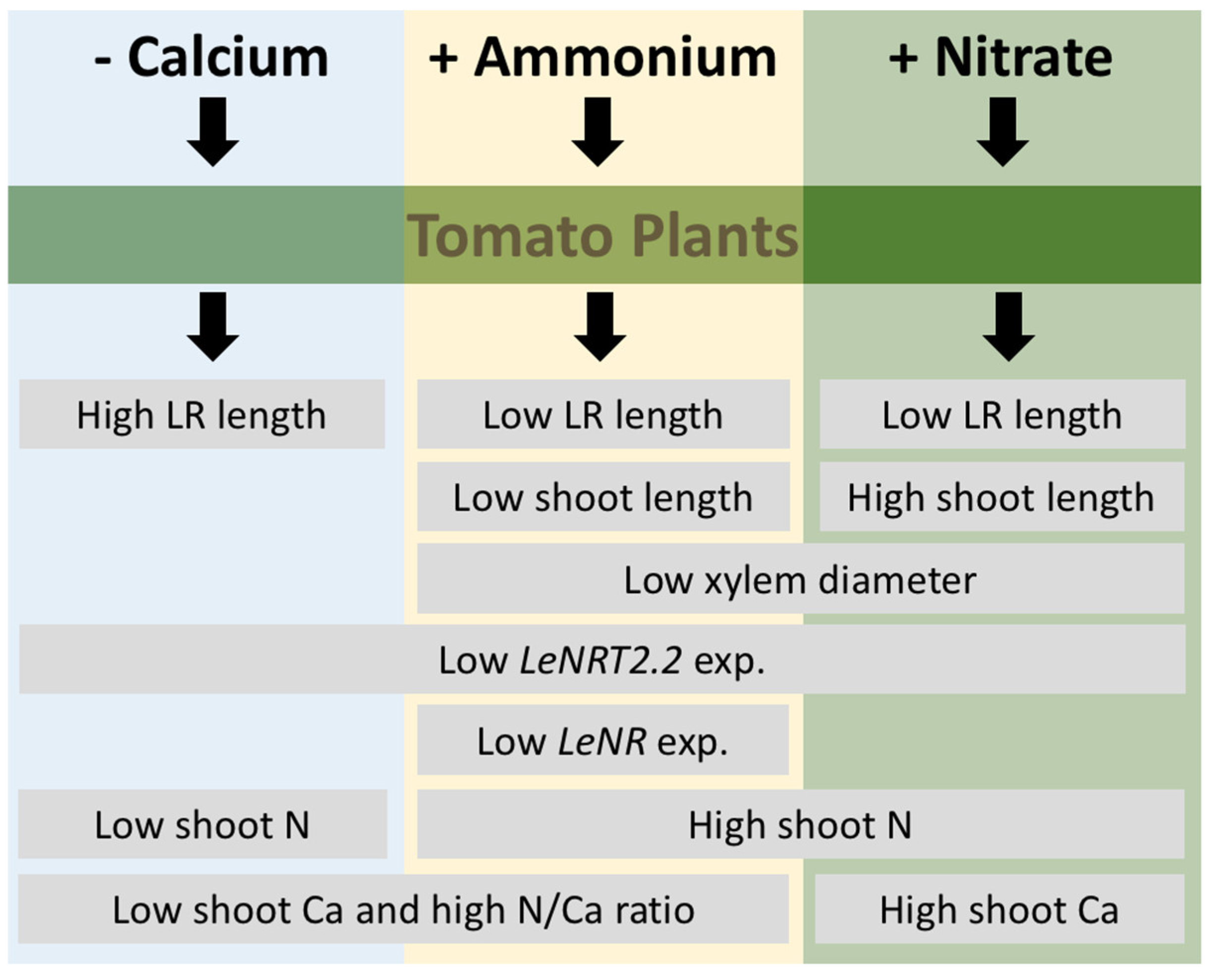 Agronomy 11 01437 g007