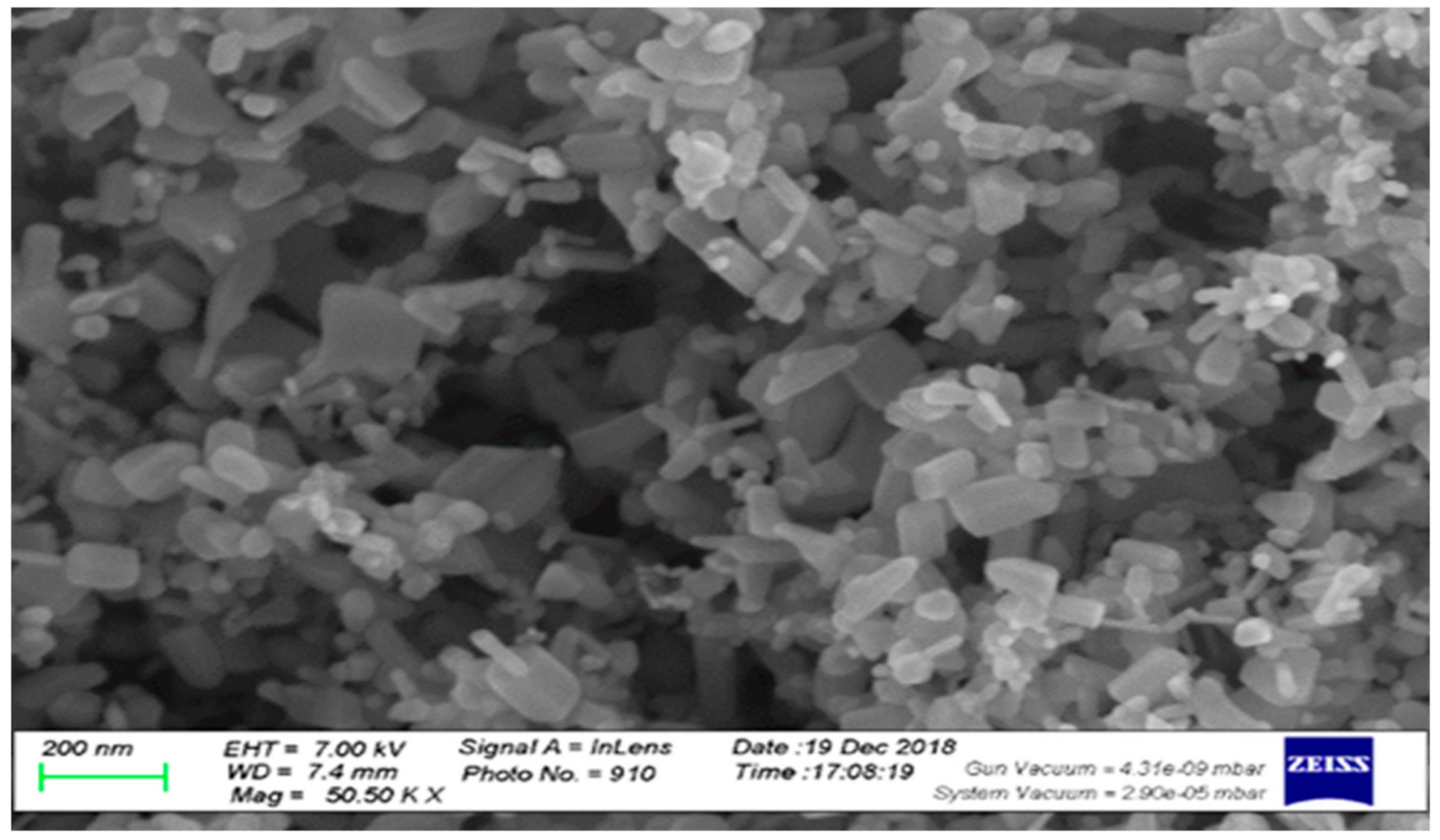 Agronomy 11 01443 g001 550