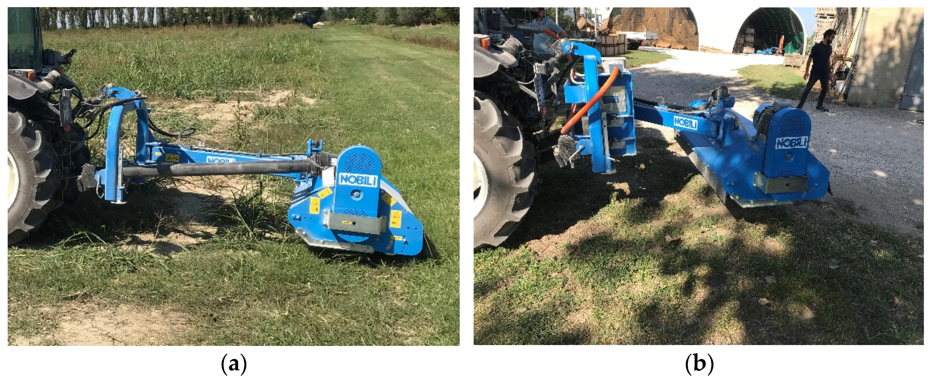 Agronomy 11 01447 g005