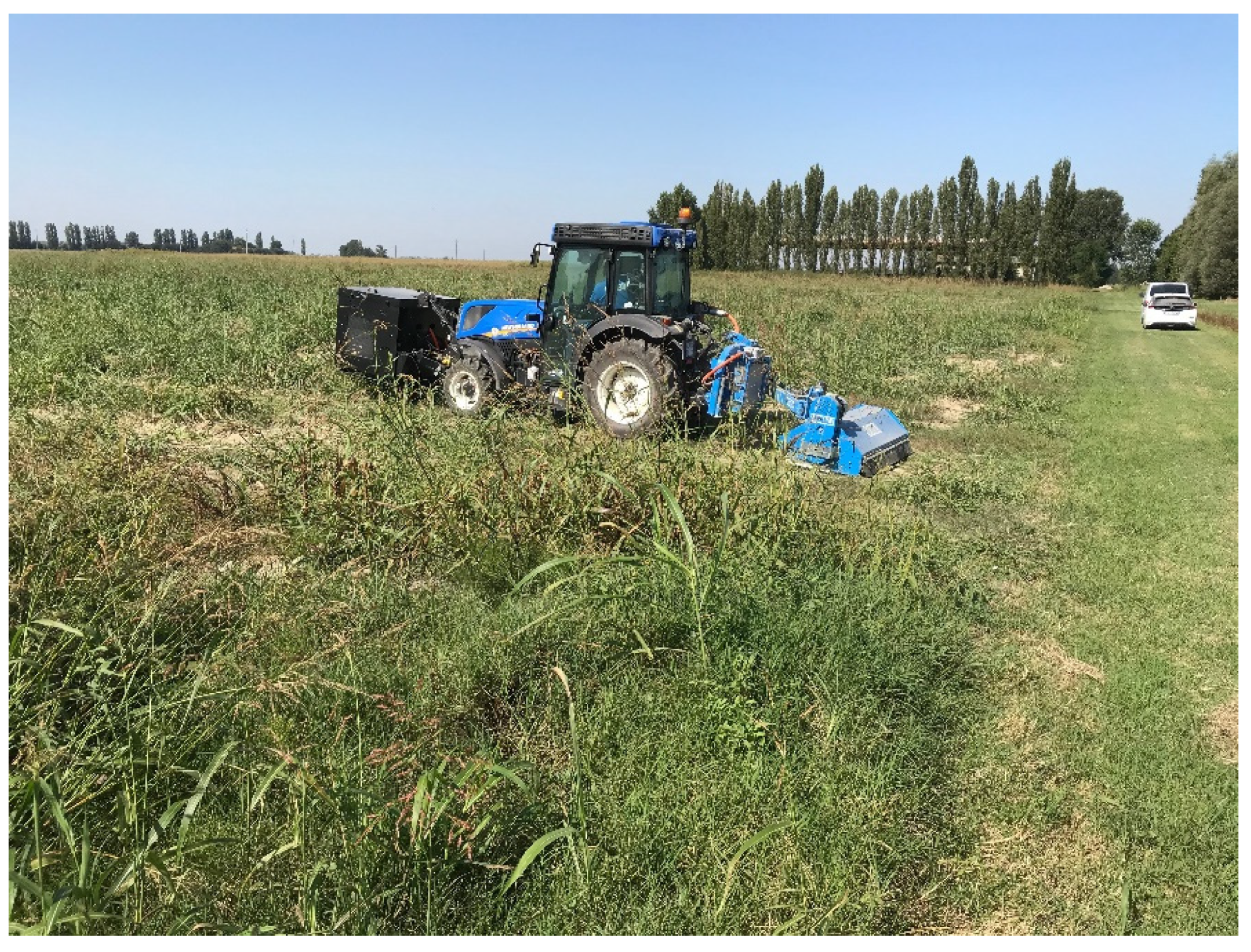 Agronomy 11 01447 g009