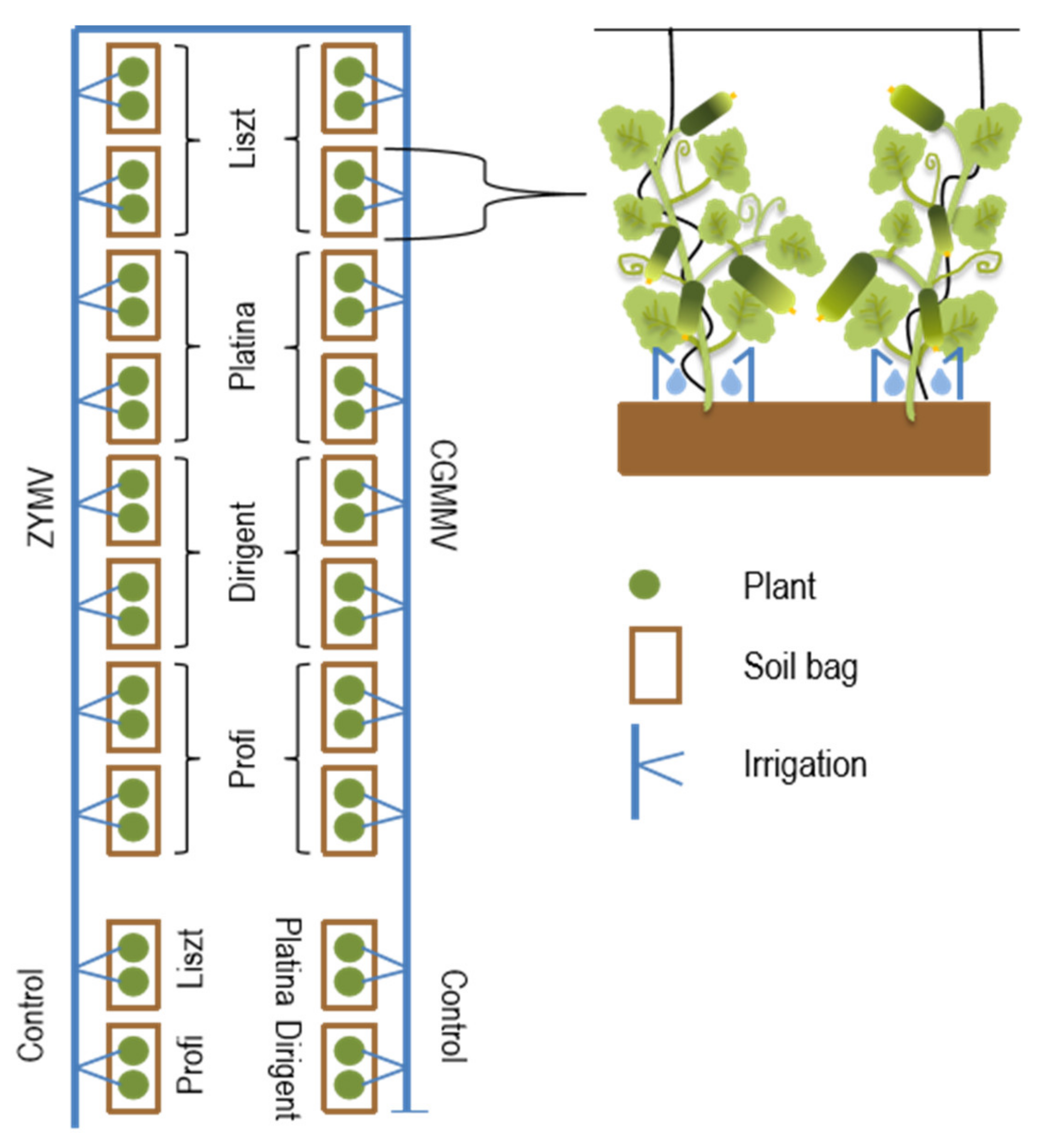 Agronomy 11 01451 g001