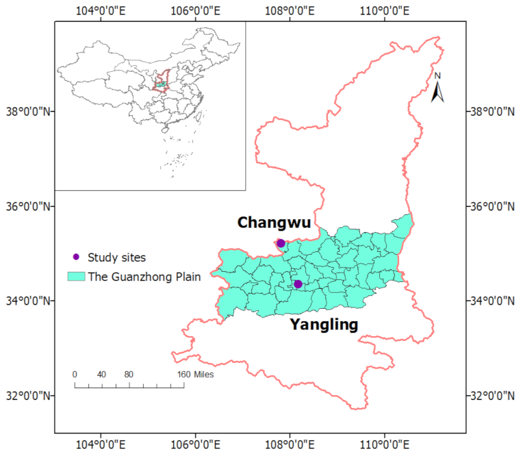 Agronomy 11 01452 g001
