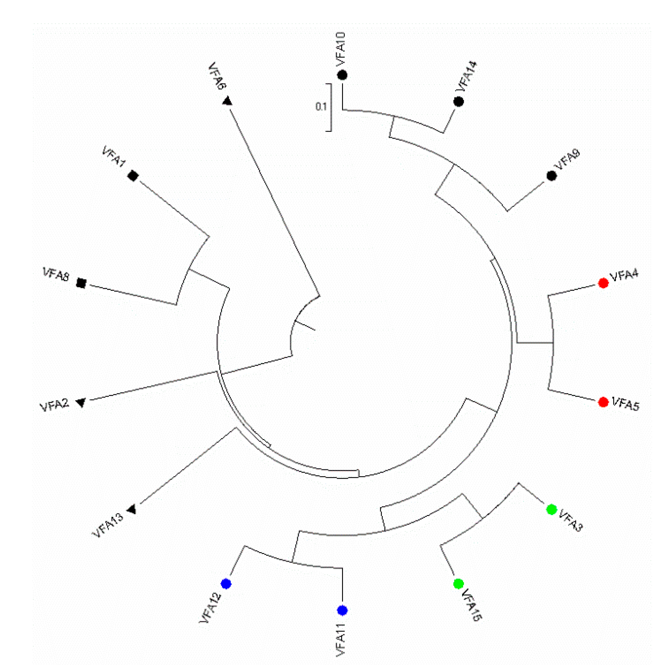 Agronomy 11 01456 g003