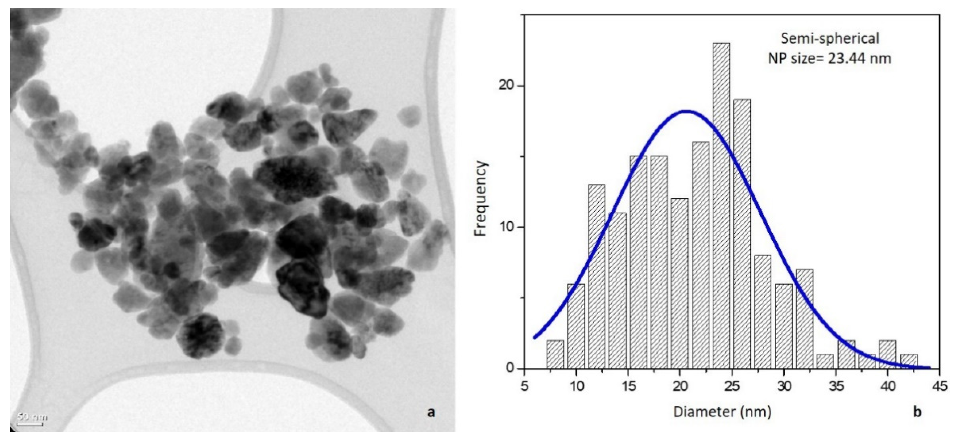 Agronomy Free Full Text Insecticidal Effect Of Zinc Oxide And Titanium Dioxide Nanoparticles Against Bactericera Cockerelli Sulc Hemiptera Triozidae On Tomato Solanum Lycopersicum Html Agronomy Free Full Text Insecticidal Effect Of Zinc Oxide And Titanium Dioxide Nanoparticles Against Bactericera Cockerelli Sulc Hemiptera Triozidae On Tomato Solanum Lycopersicum Html