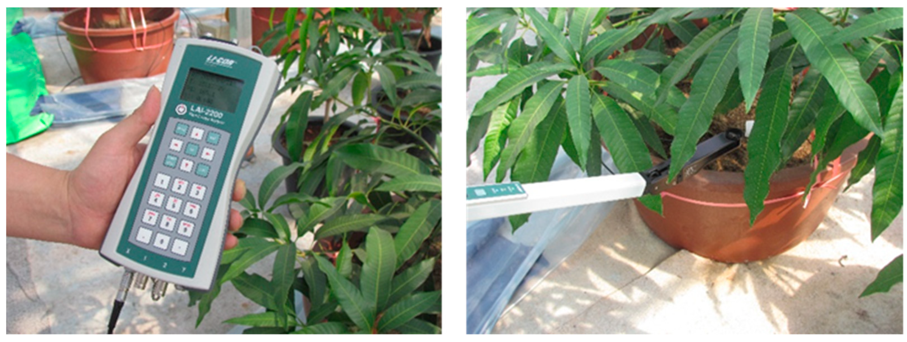 Agronomy 11 01461 g007 Agronomy 11 01461 g007