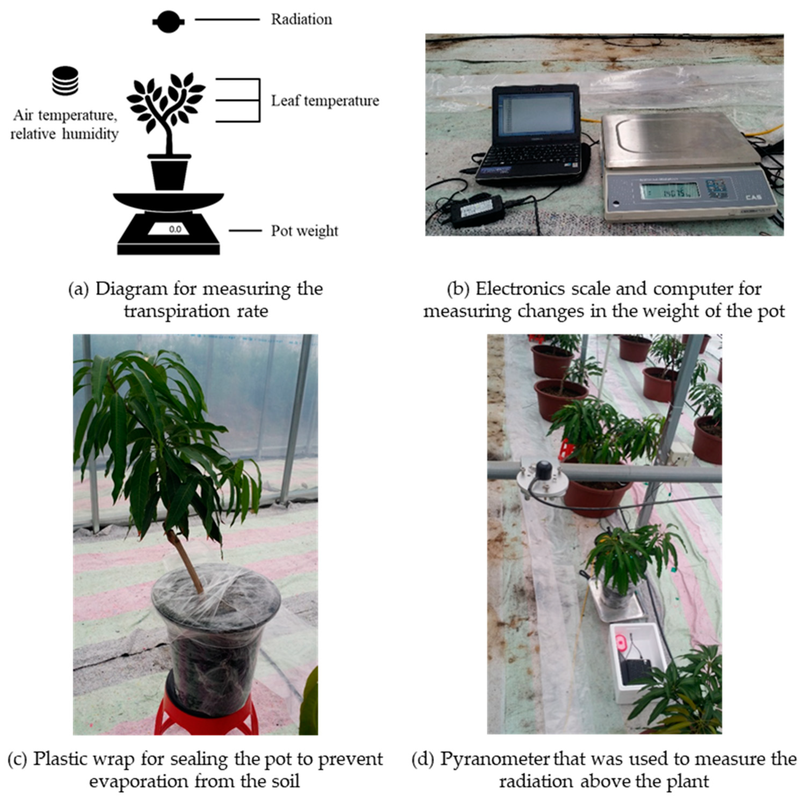 Agronomy 11 01461 g008 Agronomy 11 01461 g008