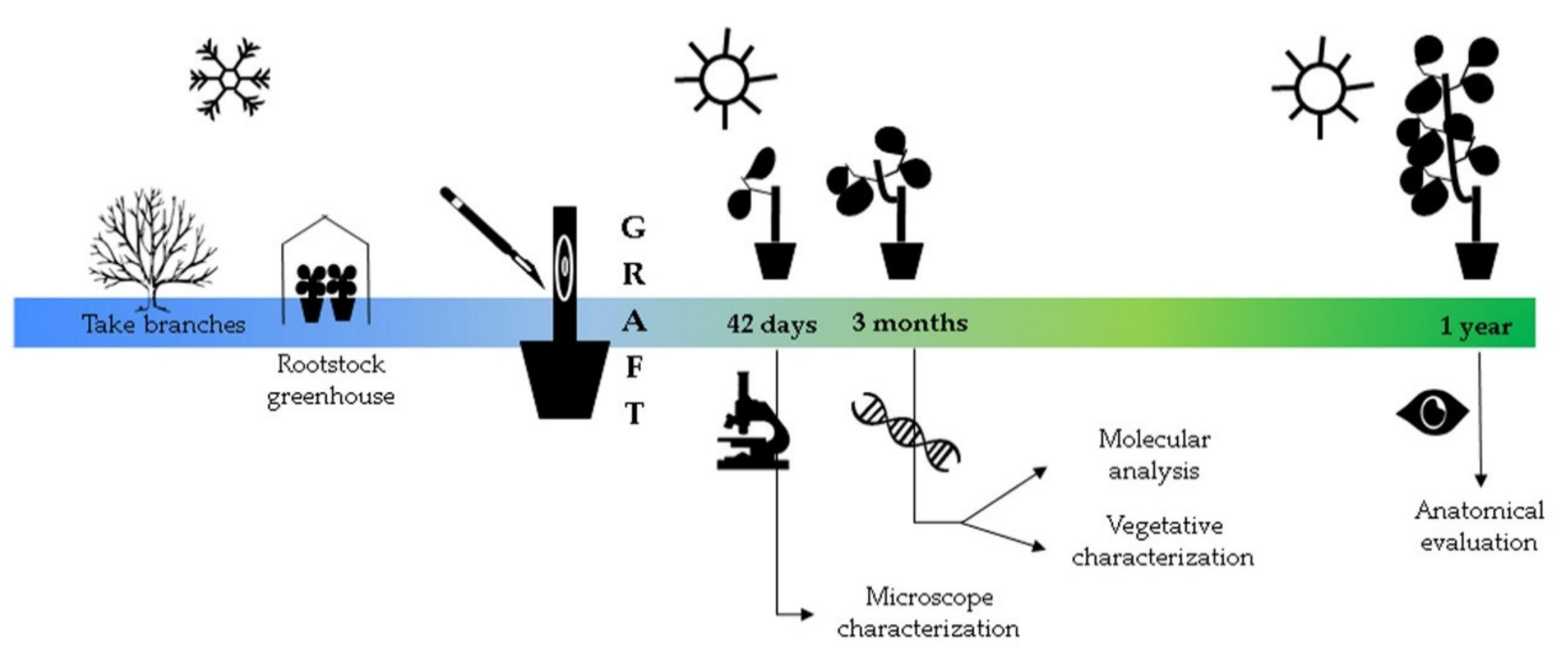 Agronomy 11 01464 g001 550