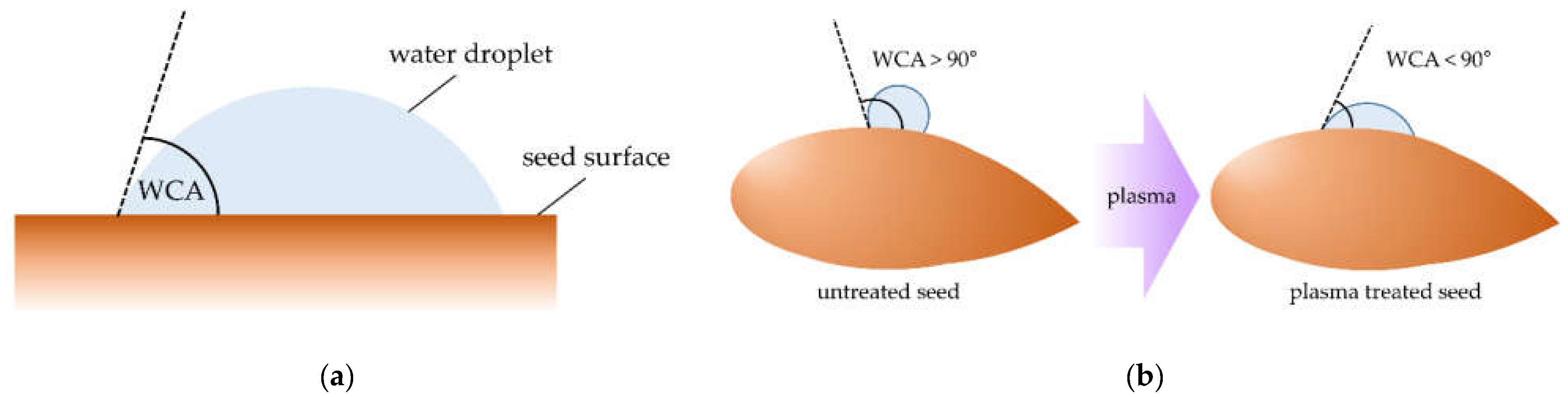 Agronomy 11 01467 g003 550