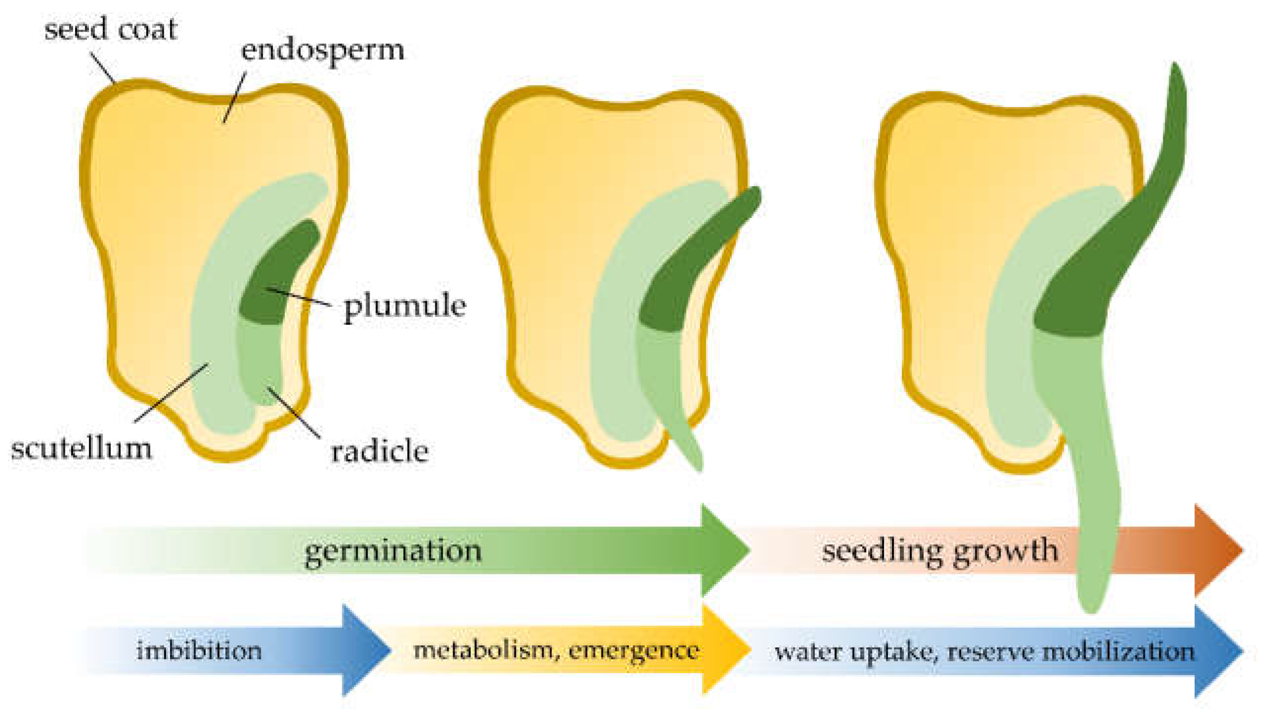 Agronomy 11 01467 g004 550