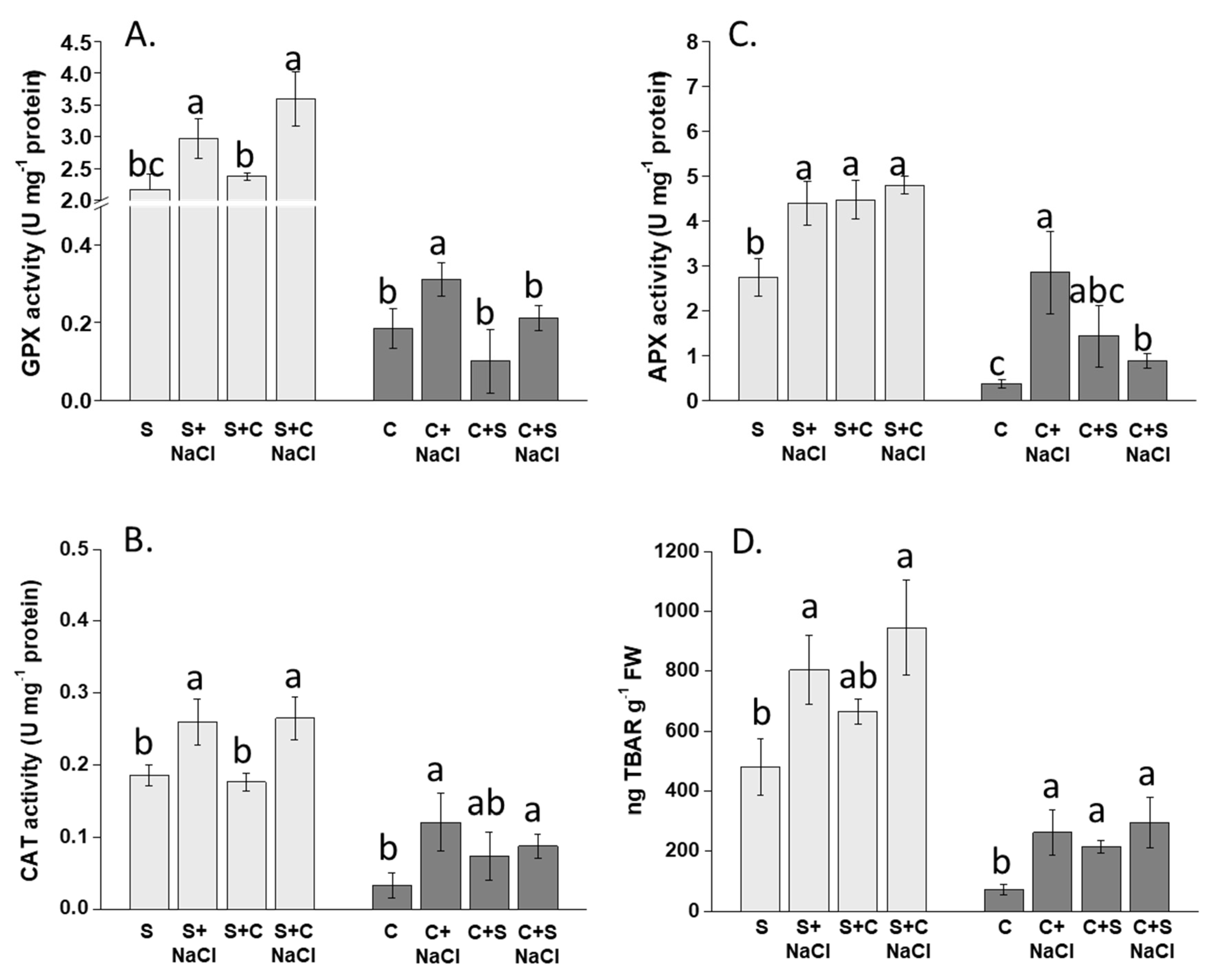 Agronomy 11 01481 g008