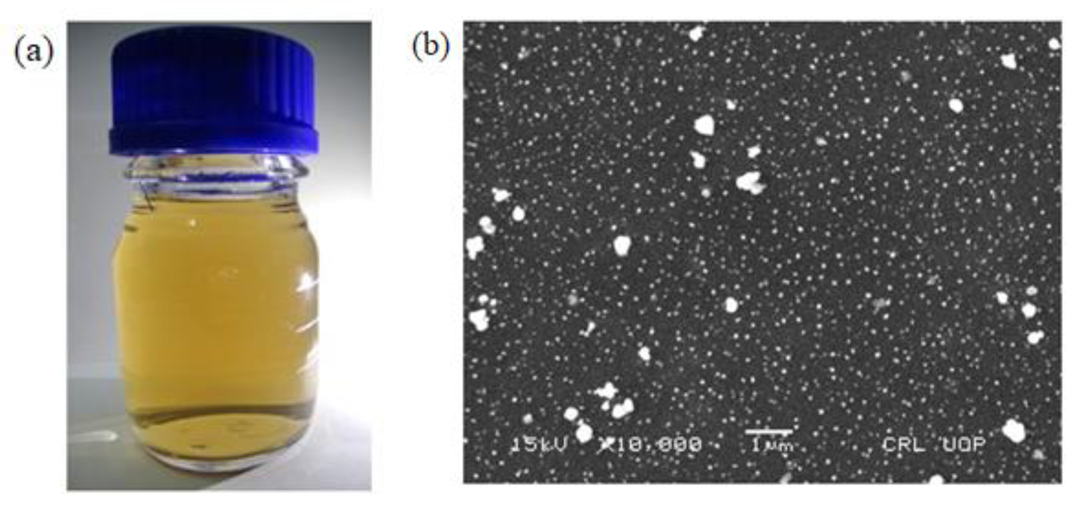 Agronomy 11 01494 g001