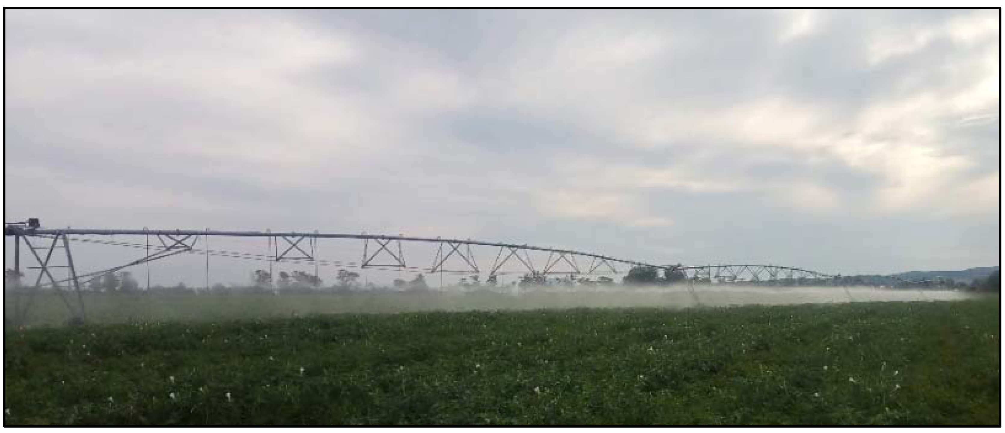 Agronomy 11 01499 g002