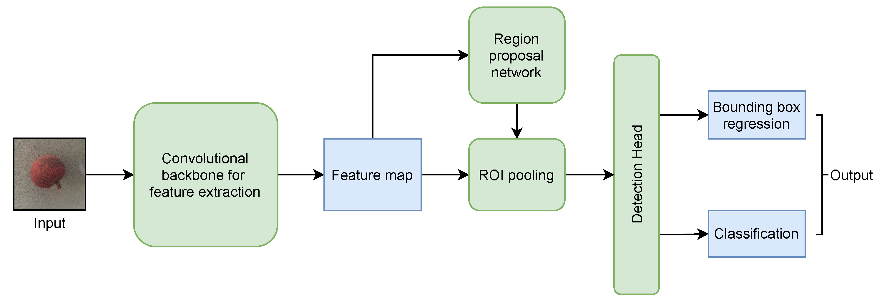 Agronomy 11 01500 g005