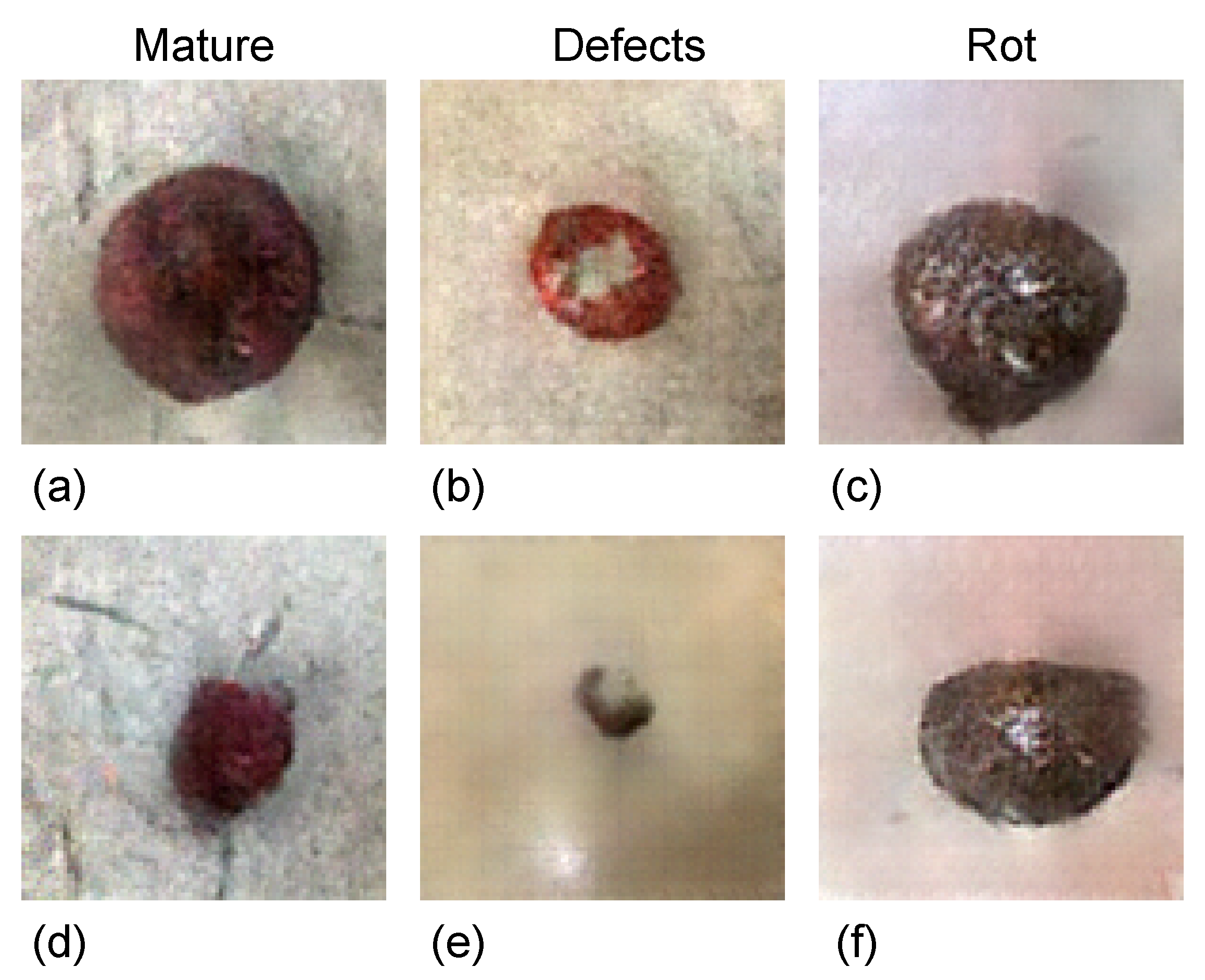 Agronomy 11 01500 g007