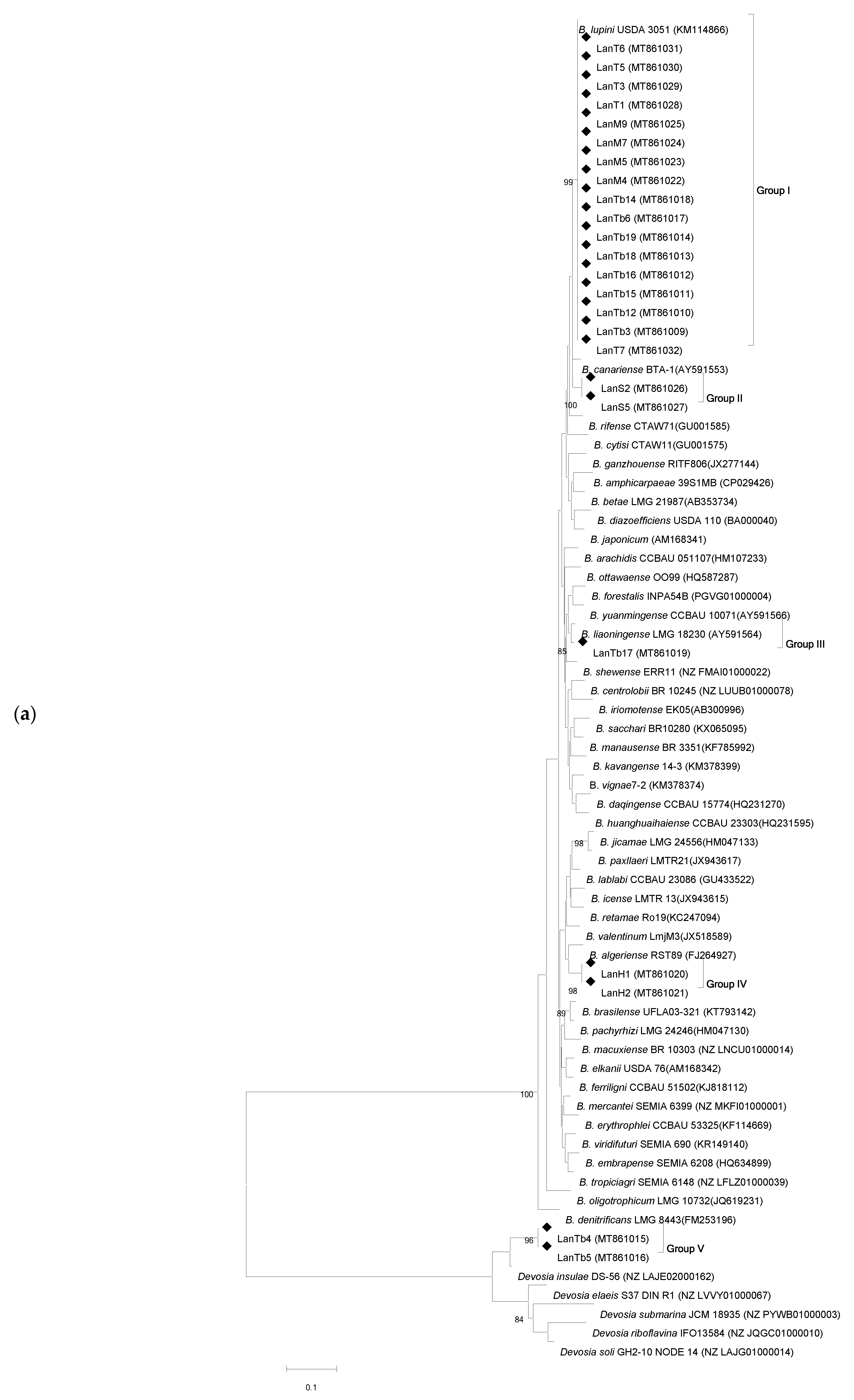Agronomy 11 01510 g001a Agronomy 11 01510 g001a