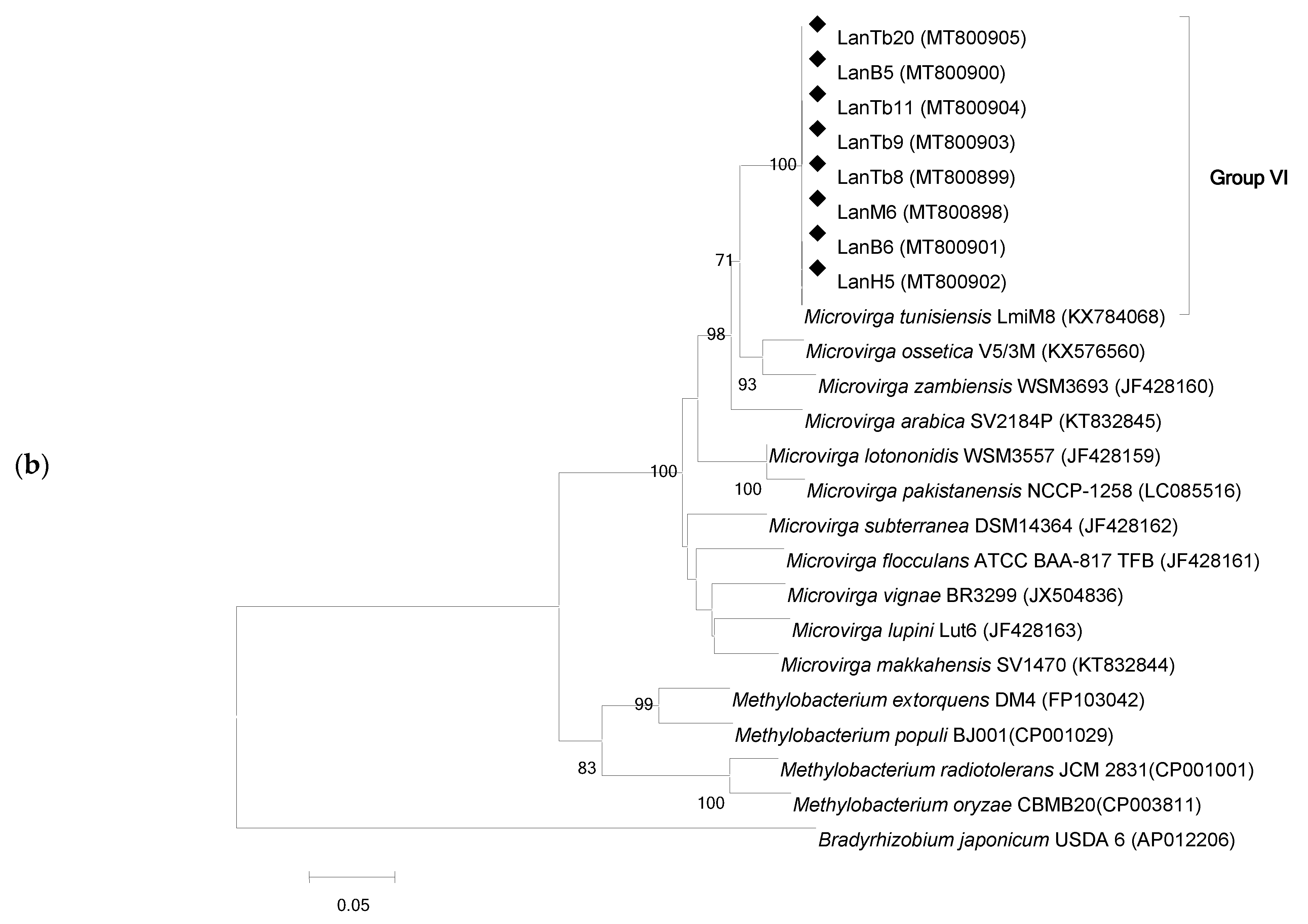 Agronomy 11 01510 g001b Agronomy 11 01510 g001b