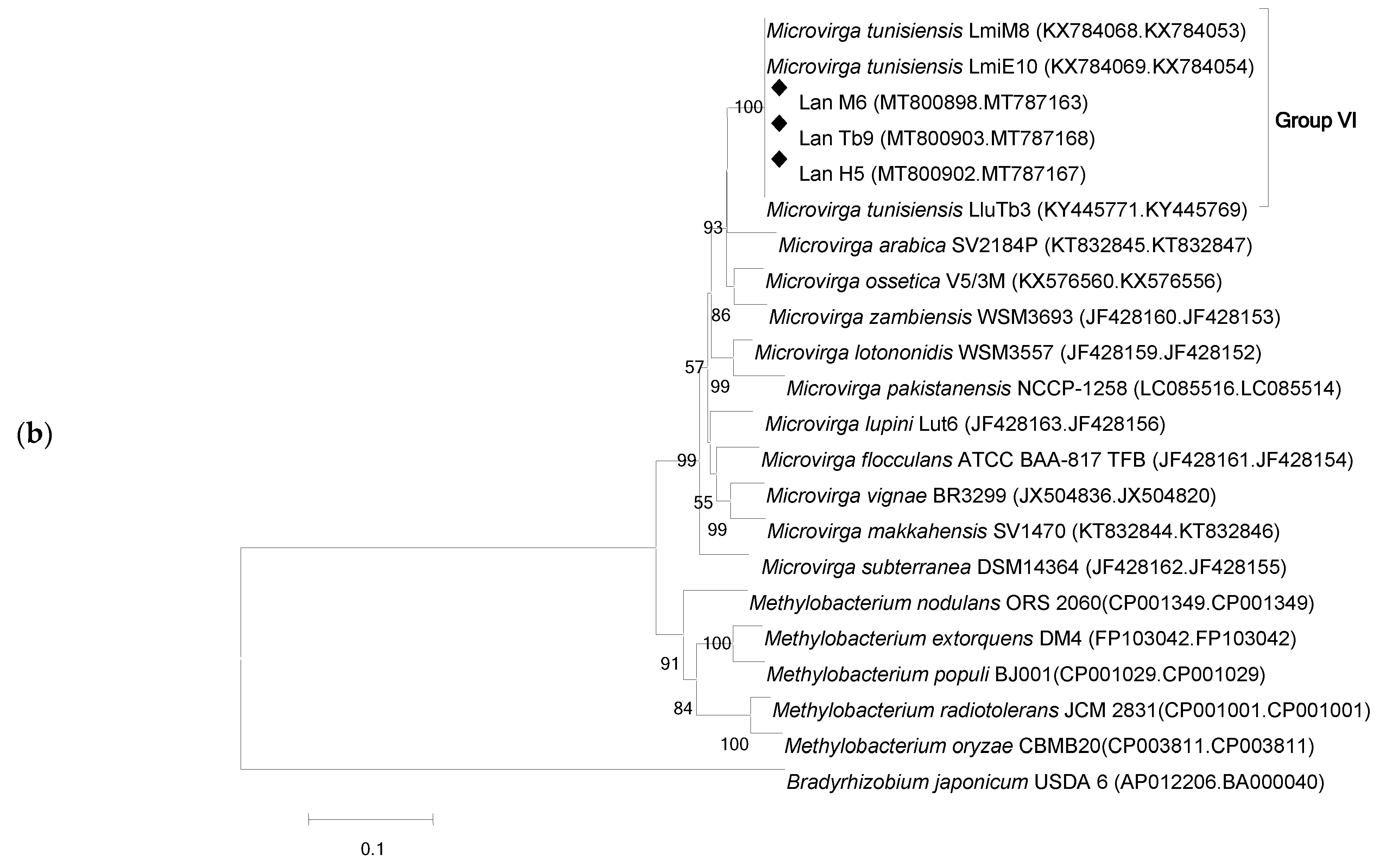 Agronomy 11 01510 g002b Agronomy 11 01510 g002b