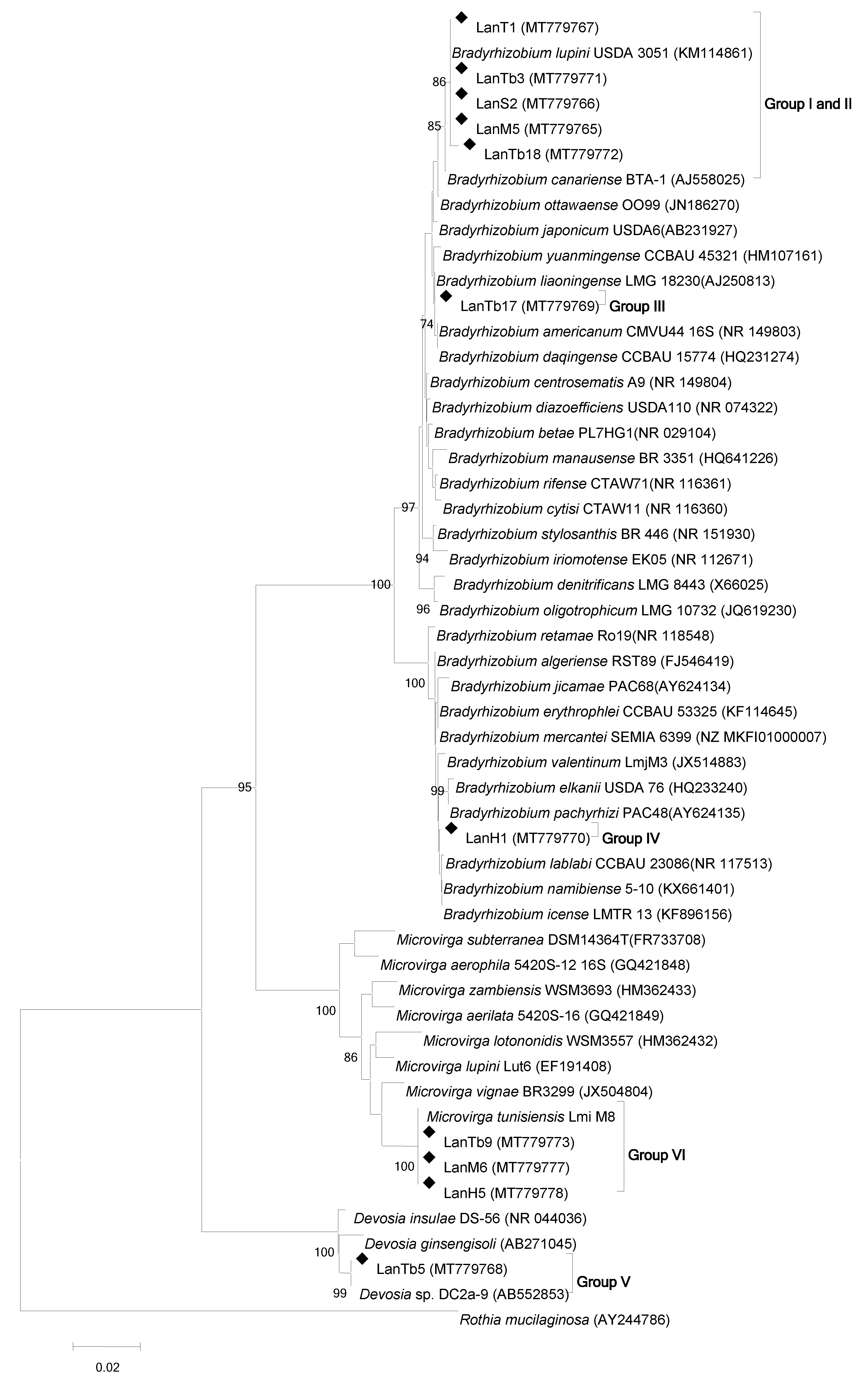 Agronomy 11 01510 g003 Agronomy 11 01510 g003
