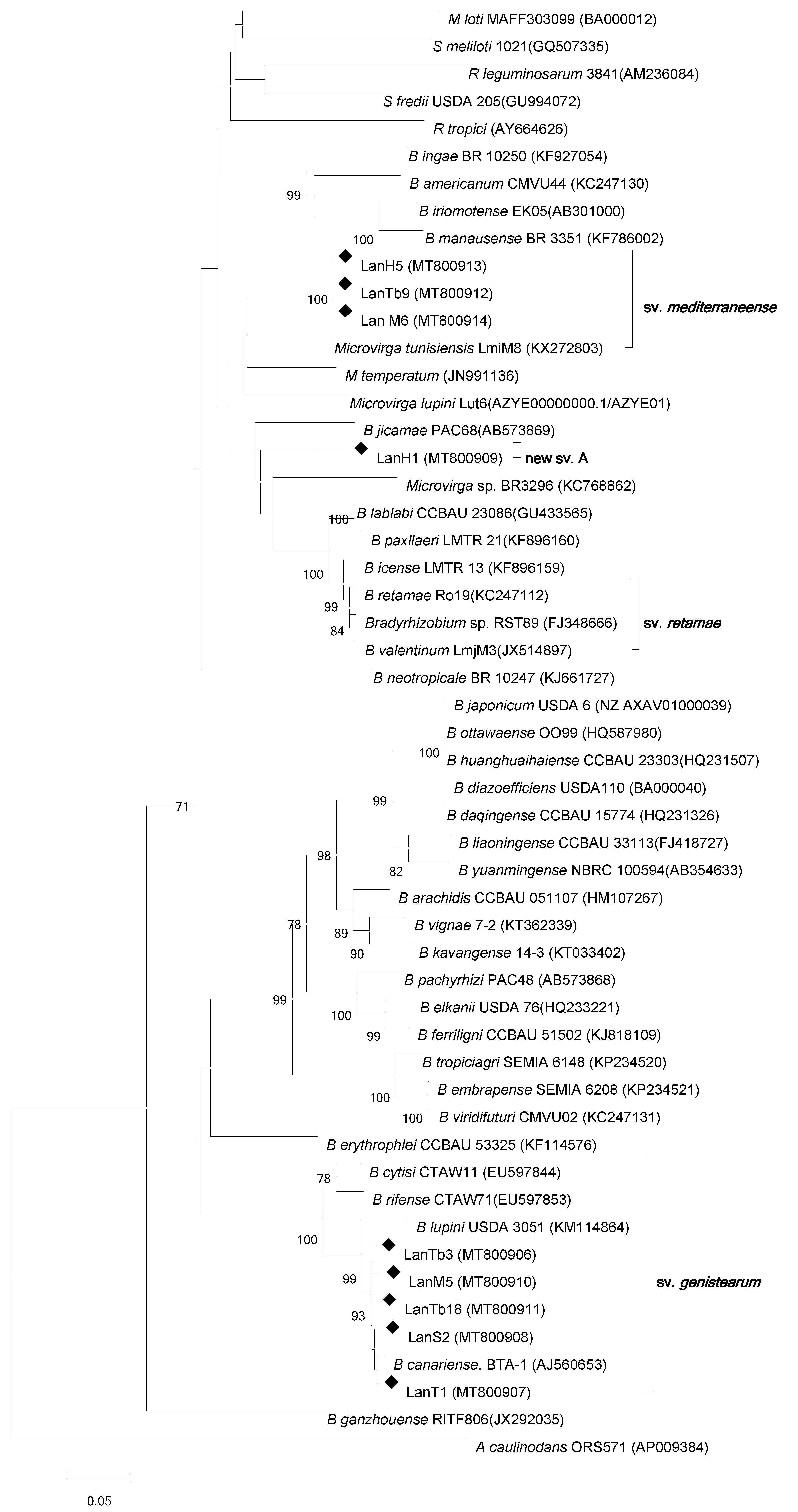 Agronomy 11 01510 g004 Agronomy 11 01510 g004