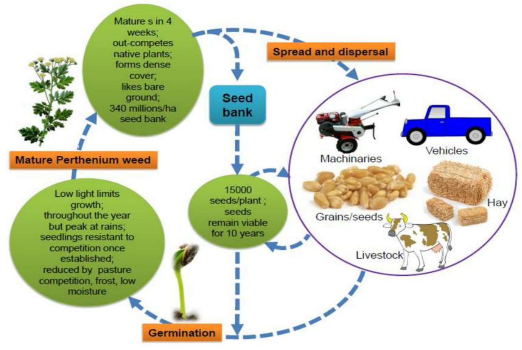 Agronomy 11 01514 g002