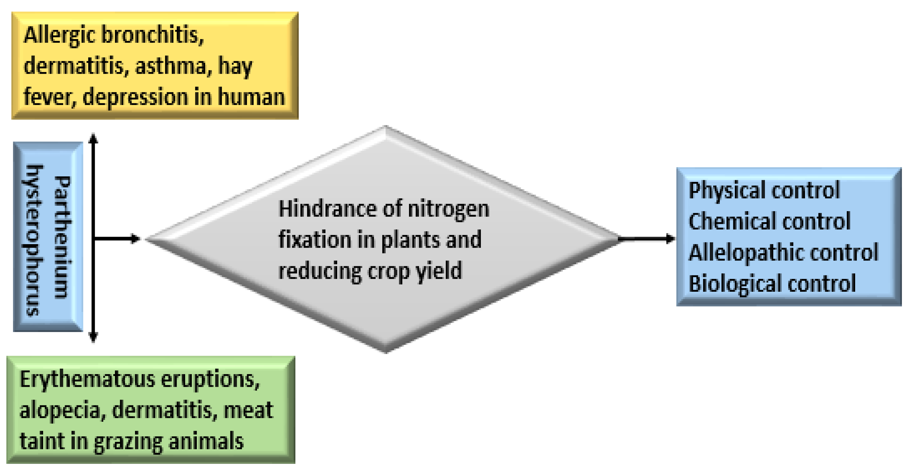 Agronomy 11 01514 g004