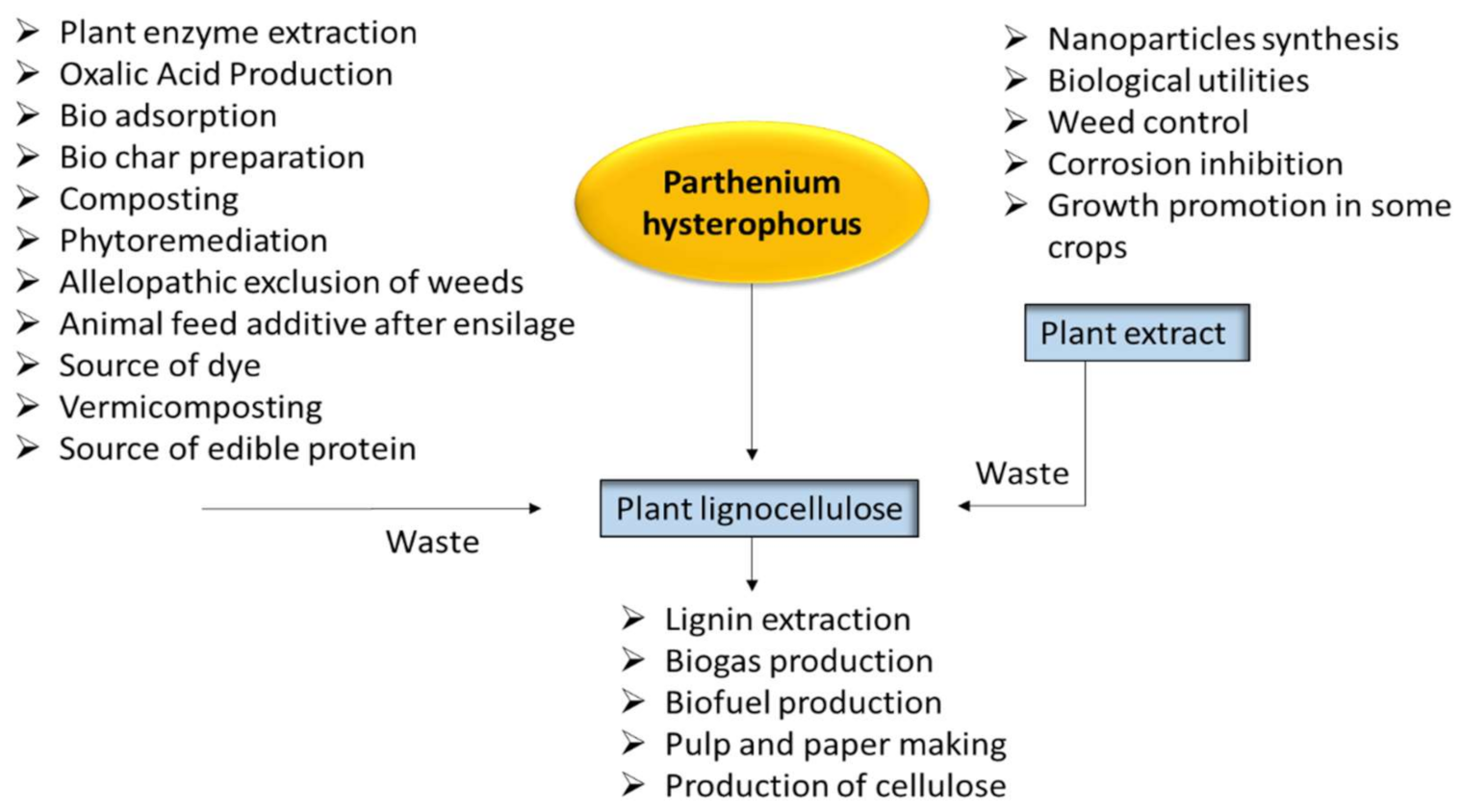 Agronomy 11 01514 g005