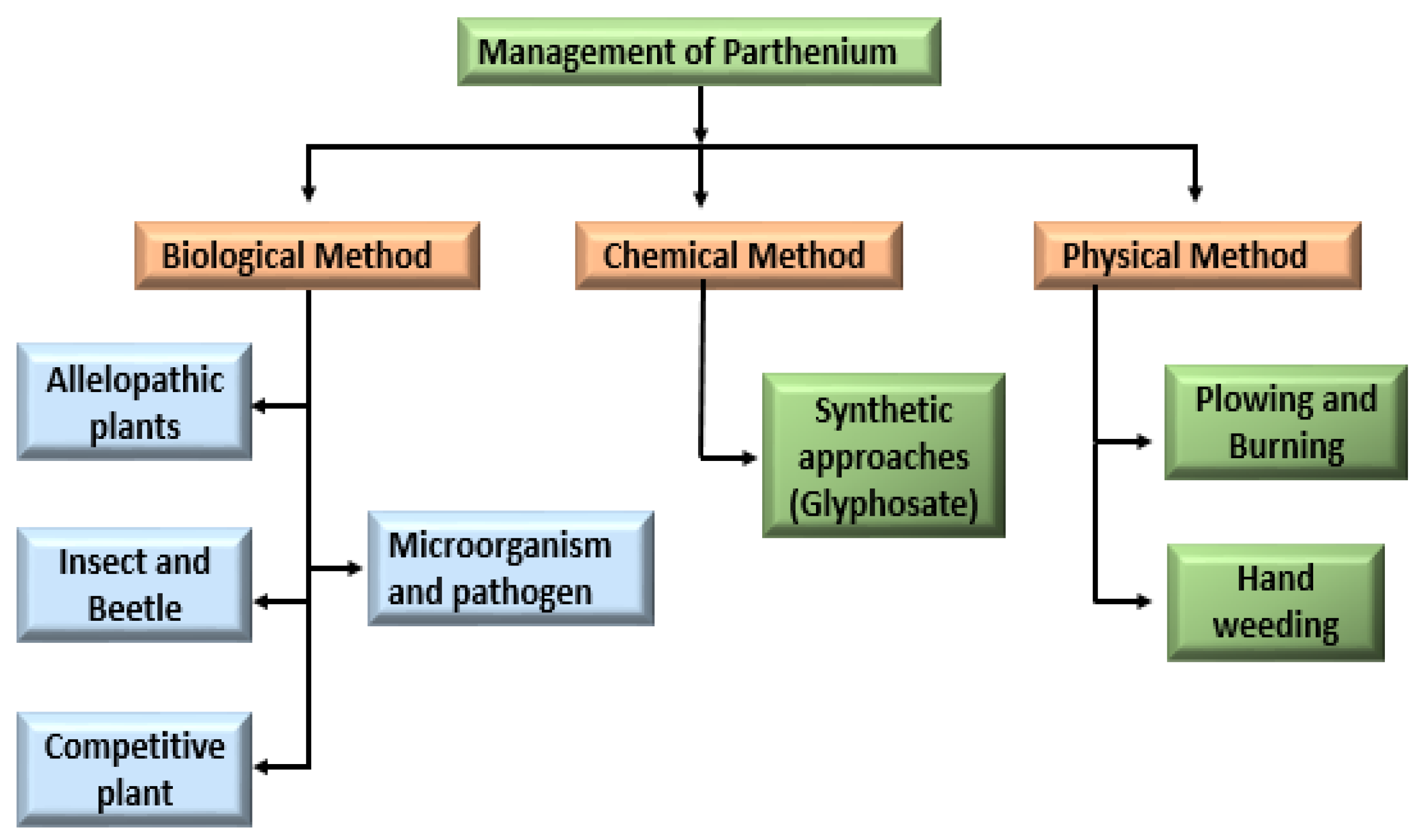 Agronomy 11 01514 g007