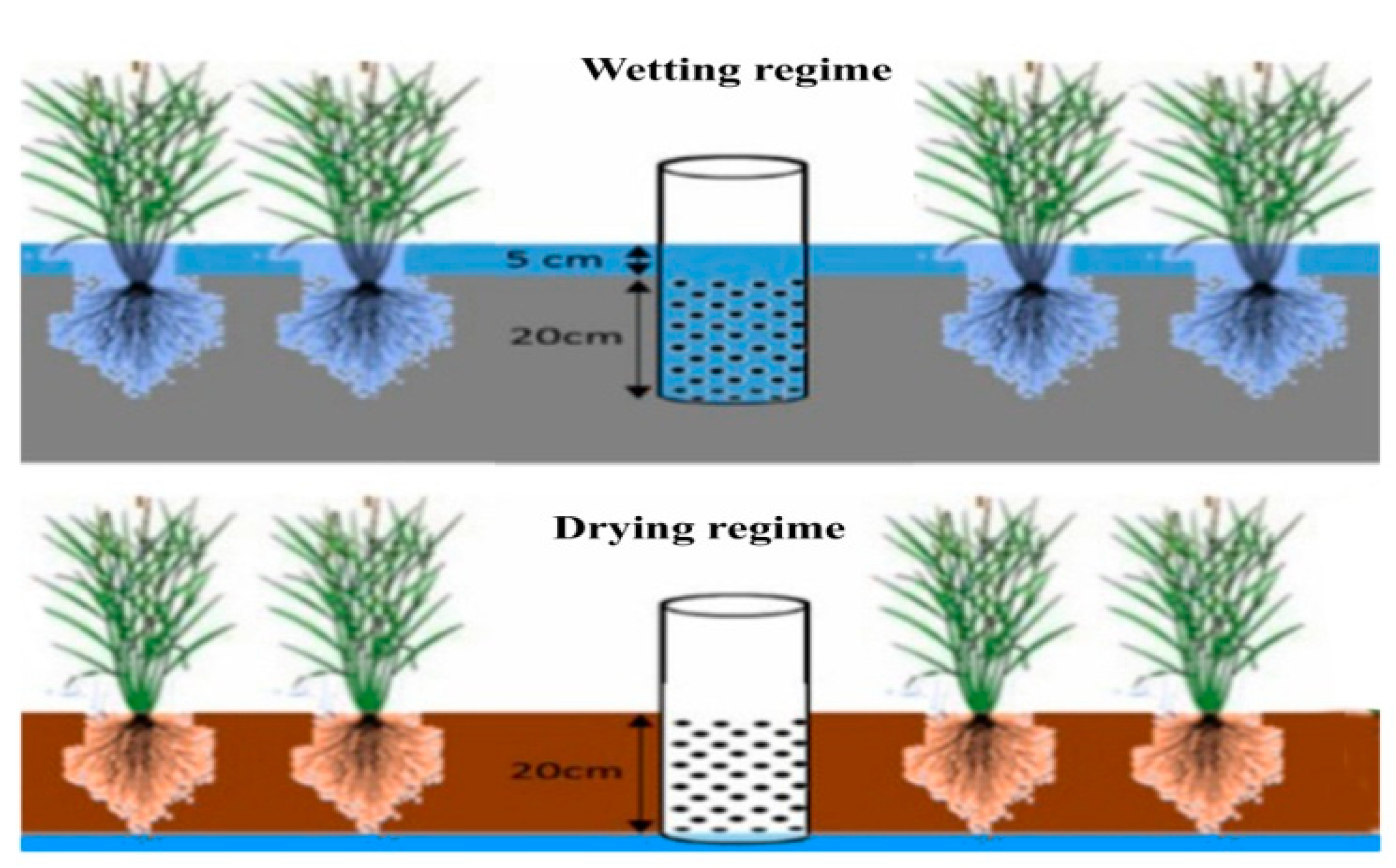 T L Irrigation Dodd t-l-irrigation-dodd