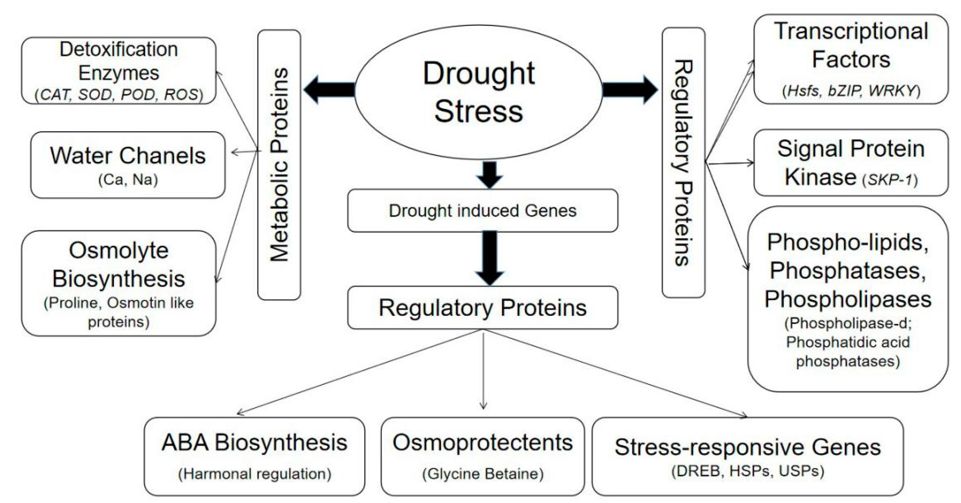 Agronomy 11 01534 g001 Agronomy 11 01534 g001