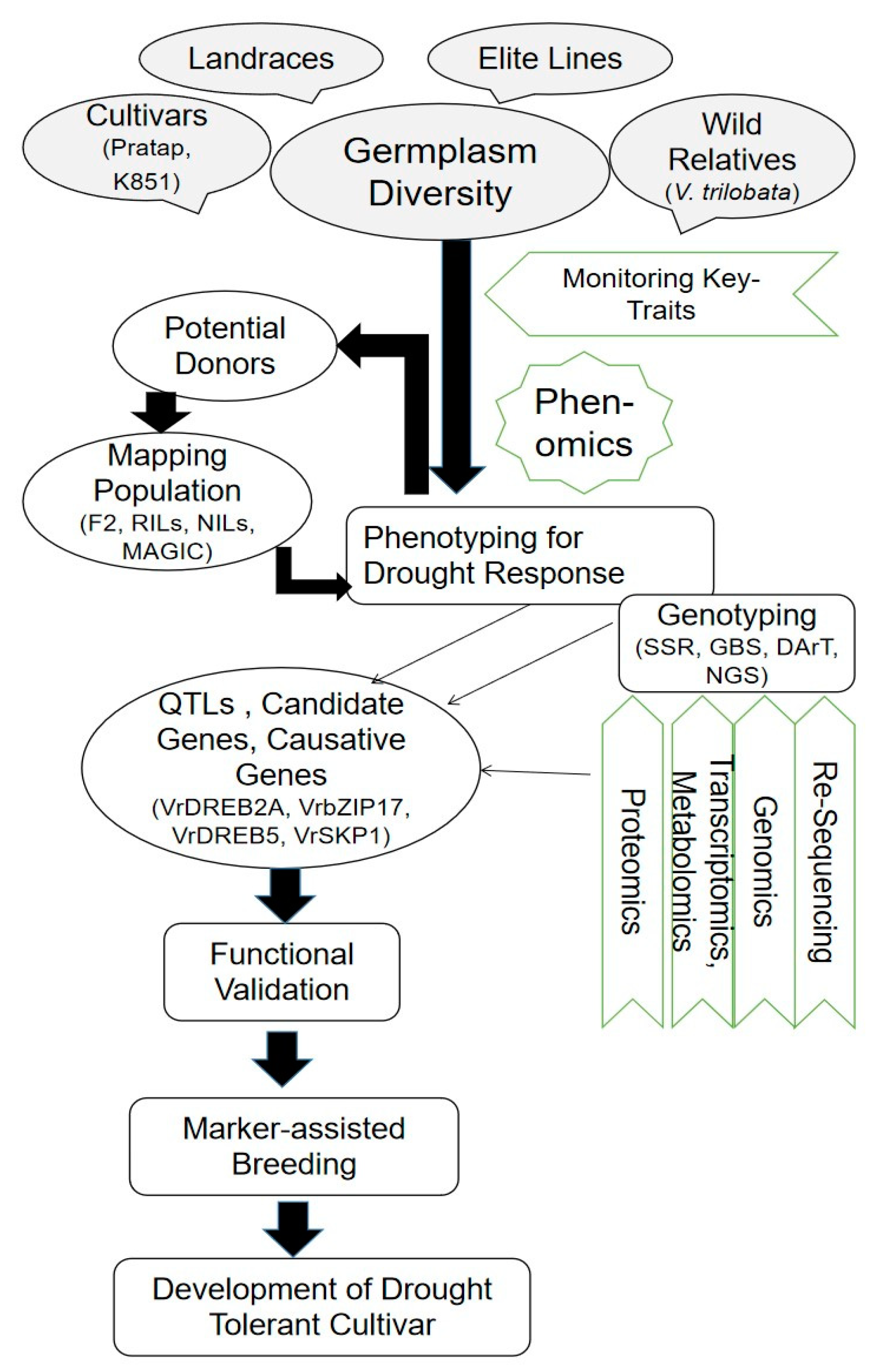 Agronomy 11 01534 g002 Agronomy 11 01534 g002