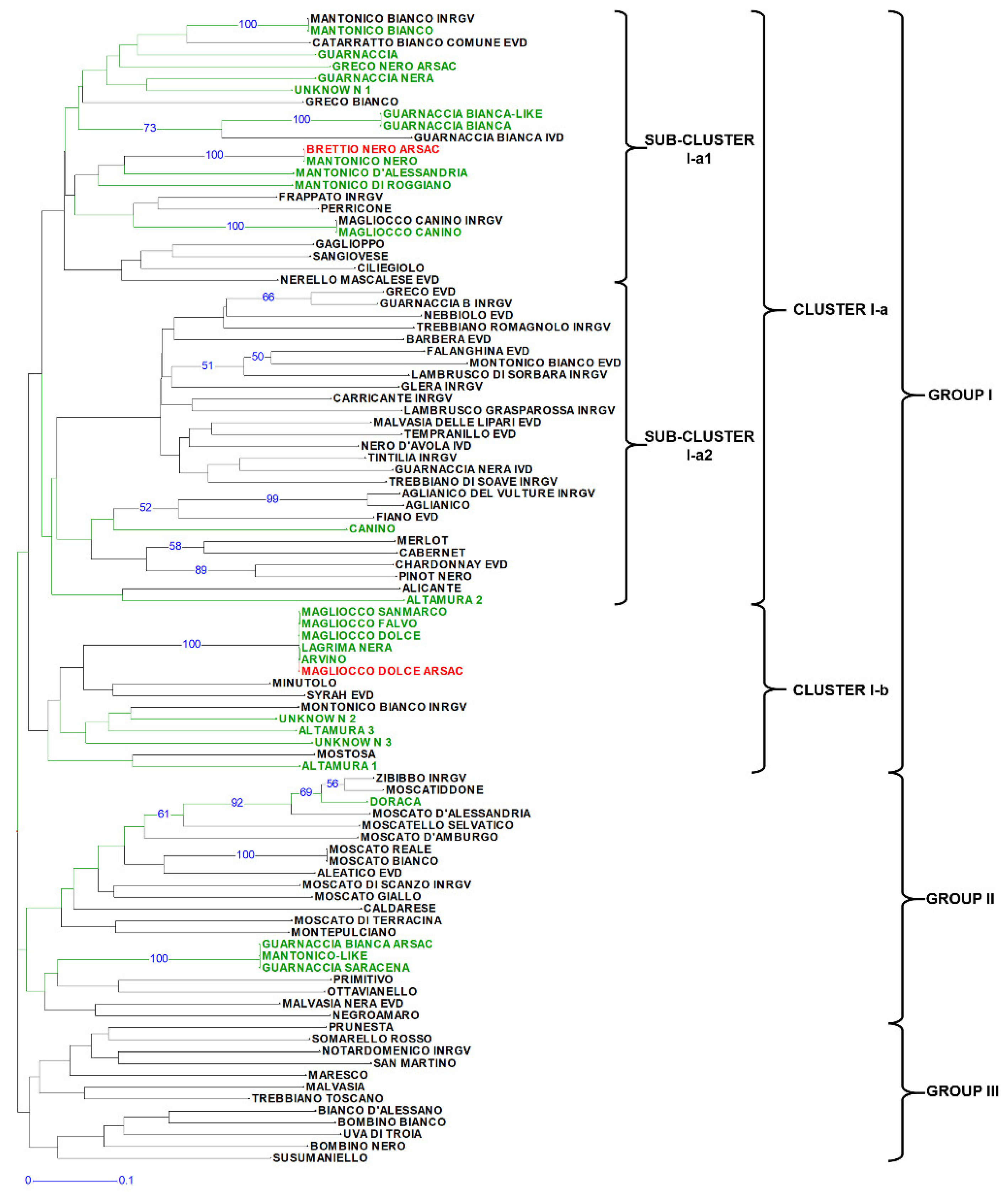 Agronomy 11 01538 g001 Agronomy 11 01538 g001