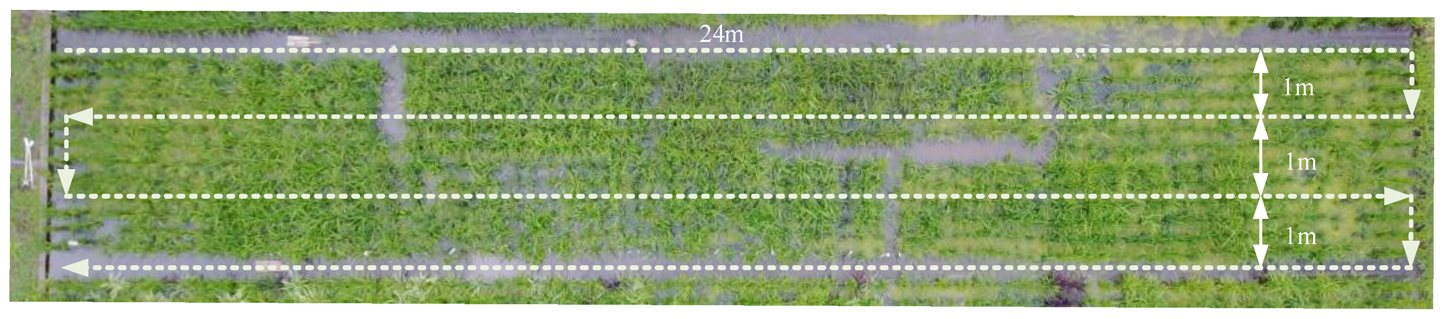 Agronomy 11 01542 g001