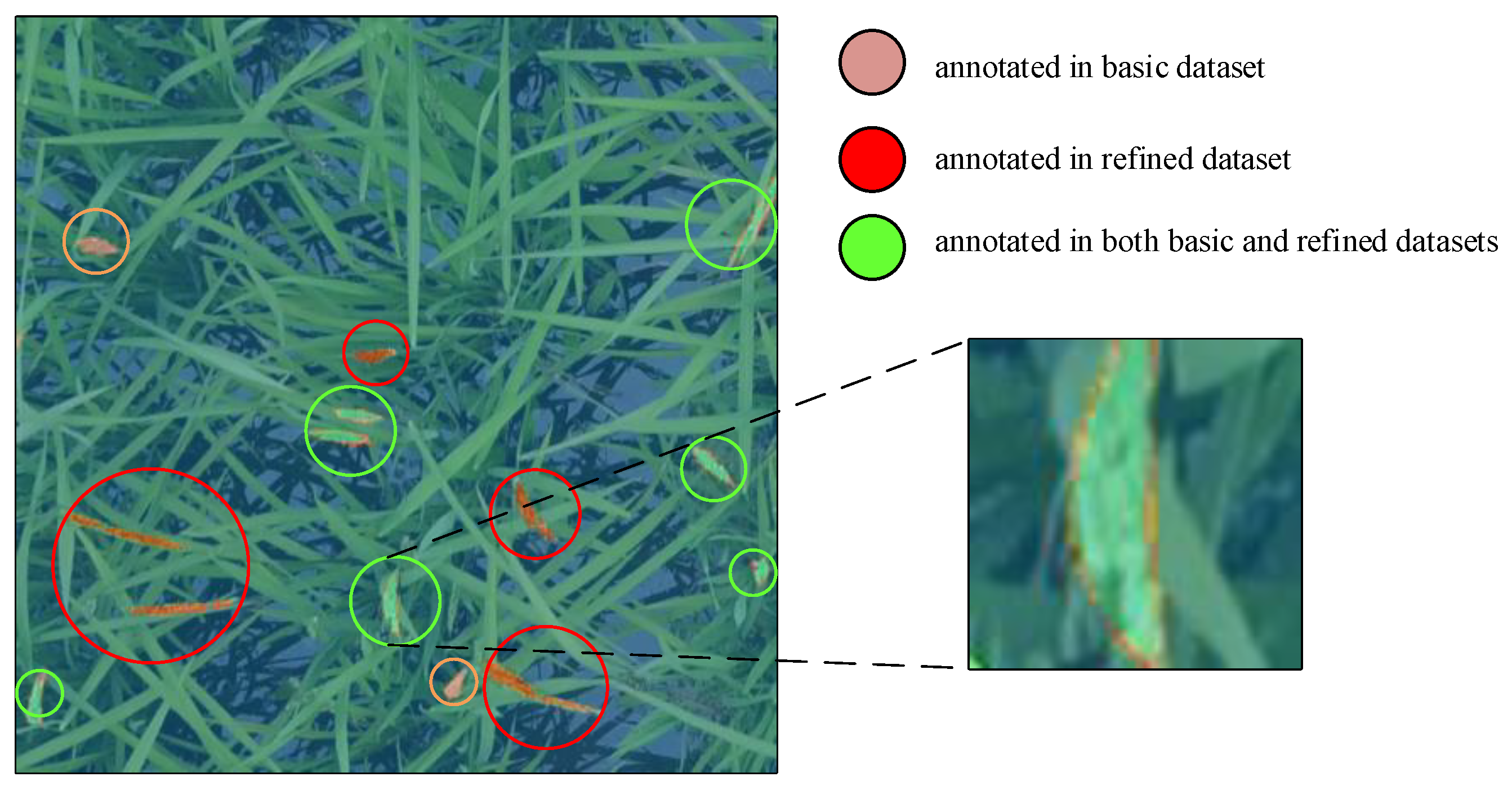 Agronomy 11 01542 g005