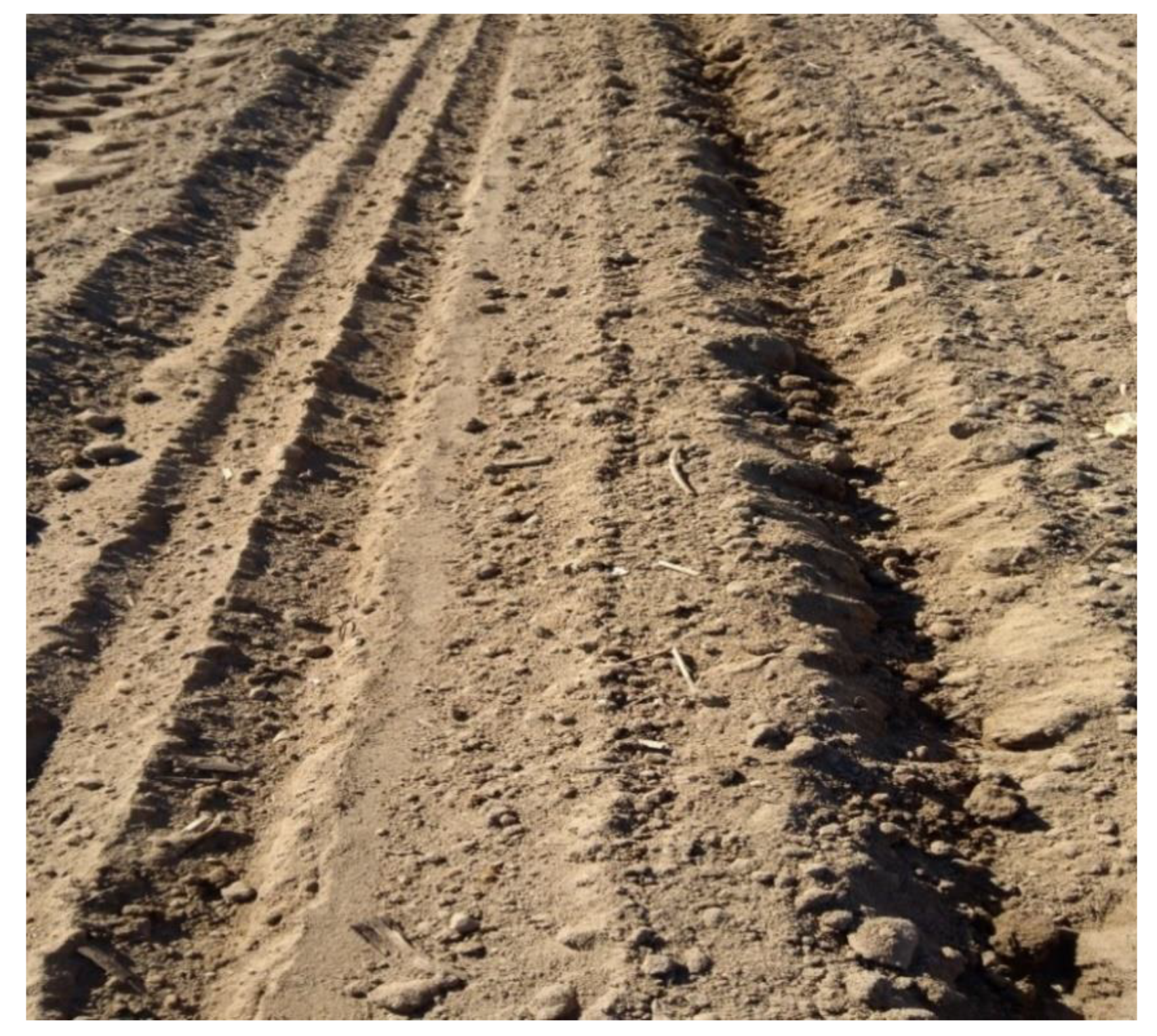 Agronomy 11 01543 g004