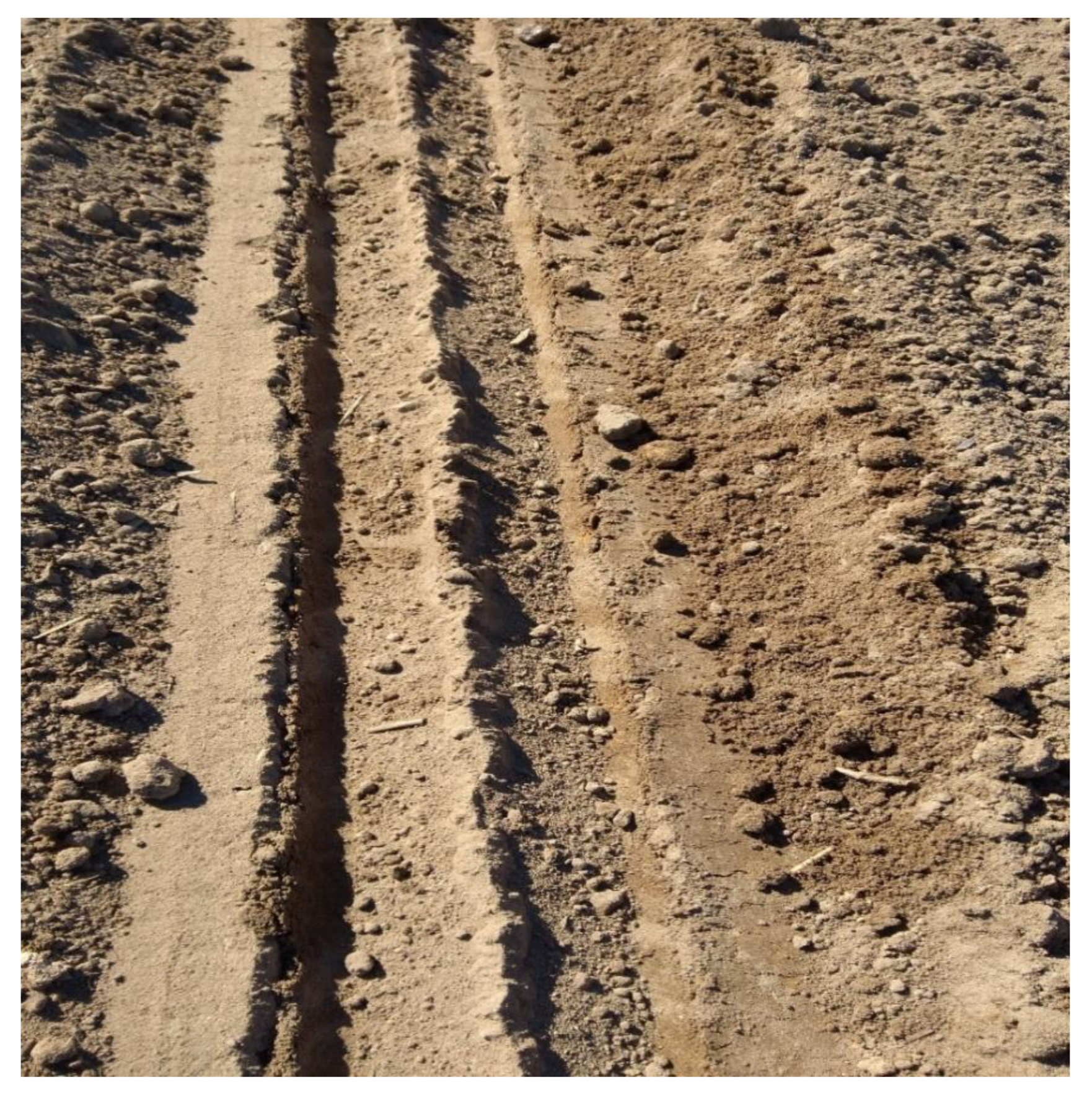 Agronomy 11 01543 g005