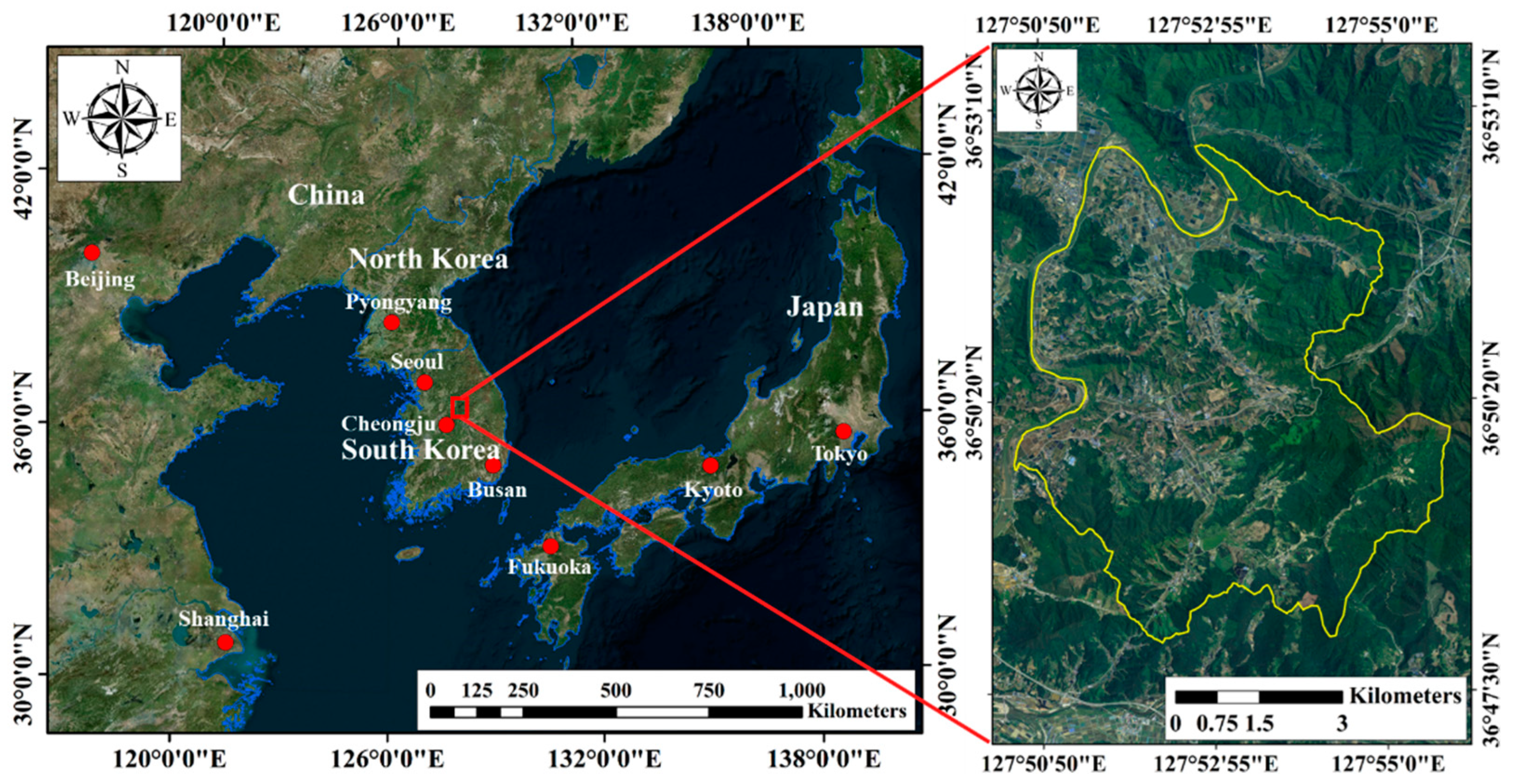 Agronomy 11 01554 g001