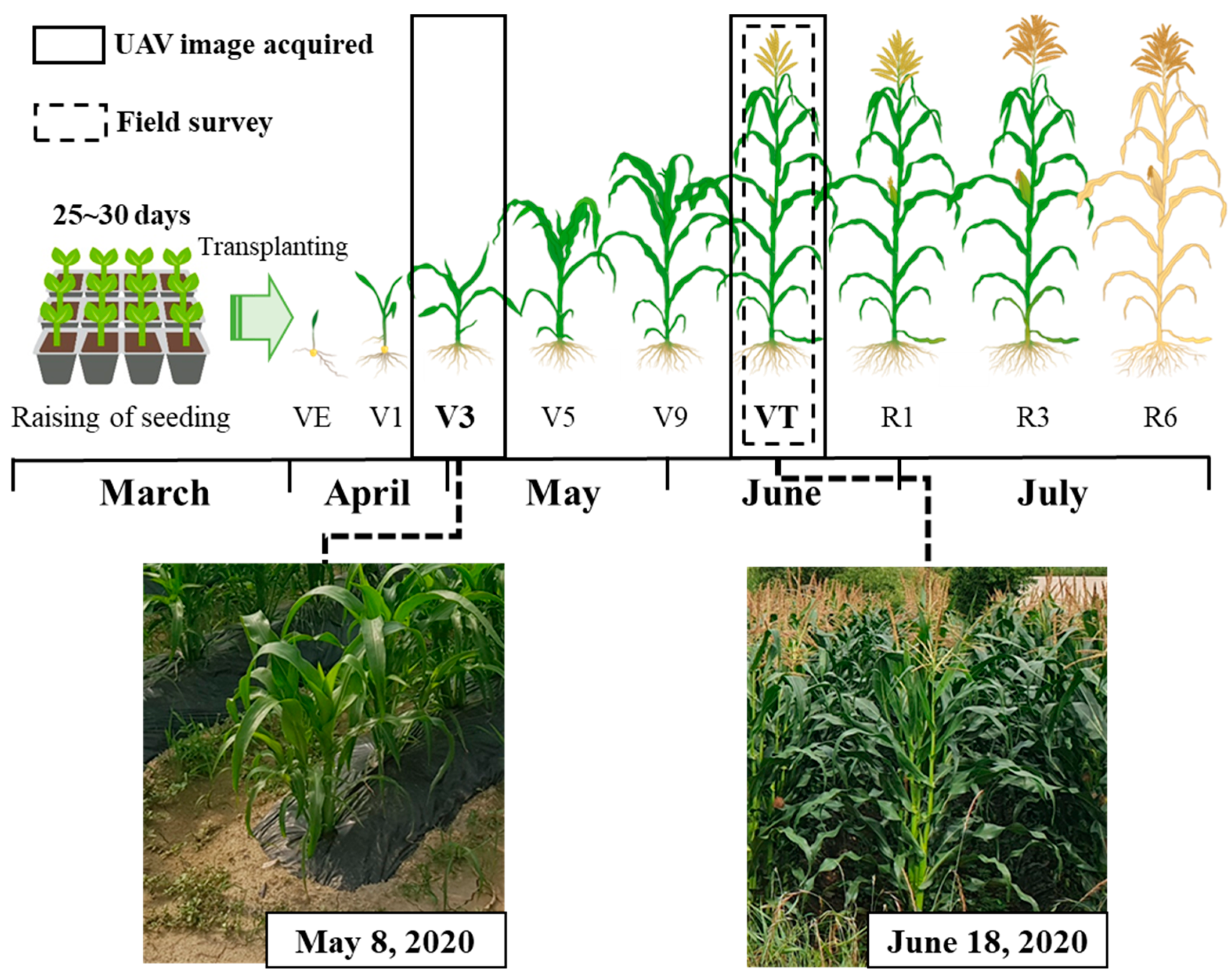 Agronomy 11 01554 g002