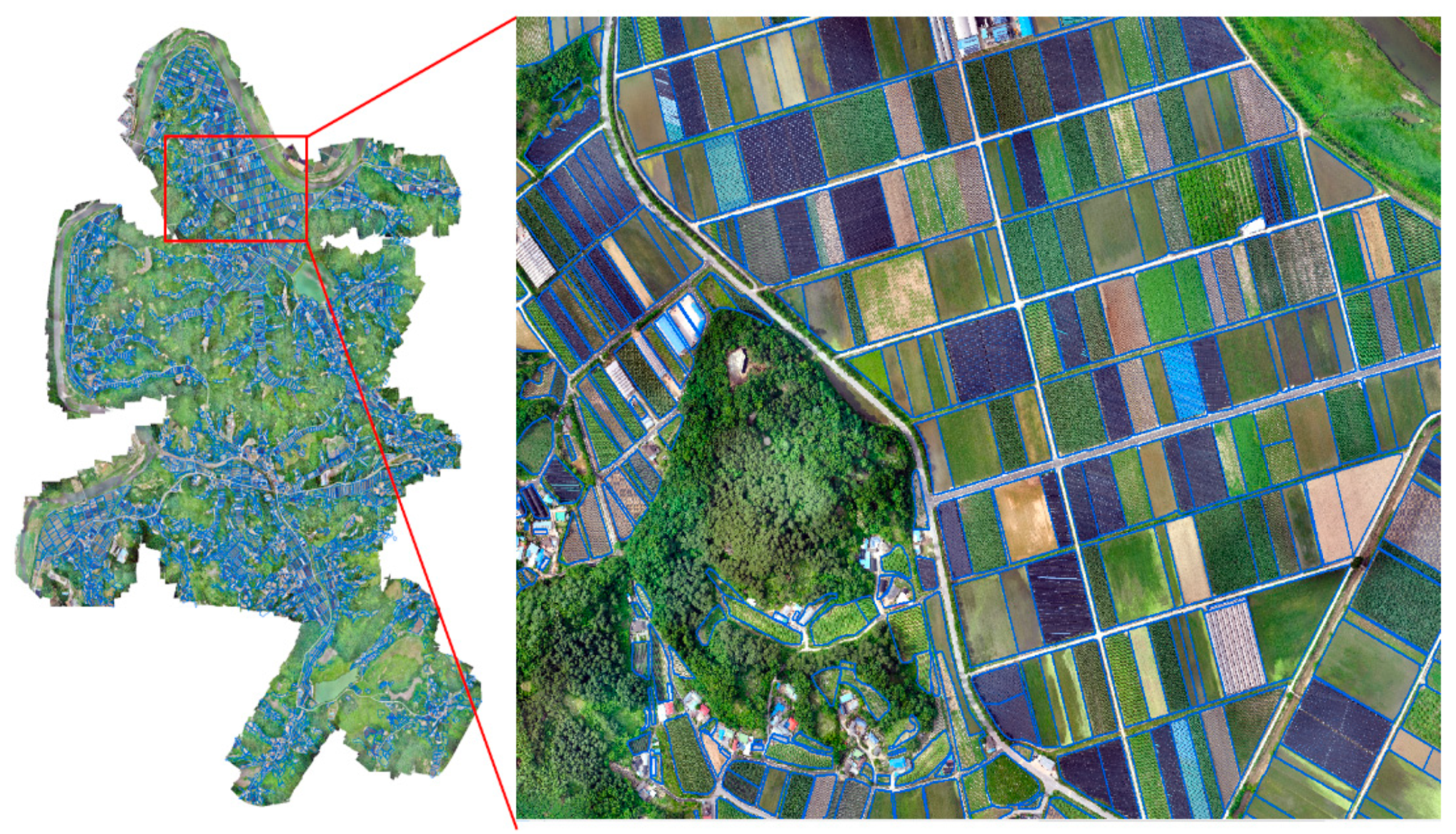 Agronomy 11 01554 g004