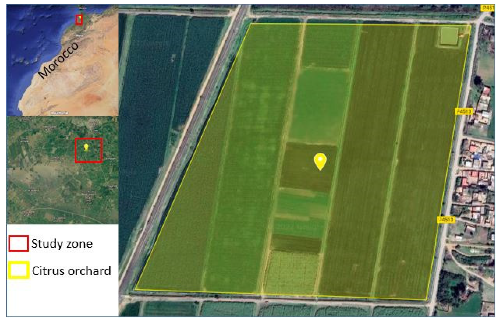 Agronomy 11 01562 g001