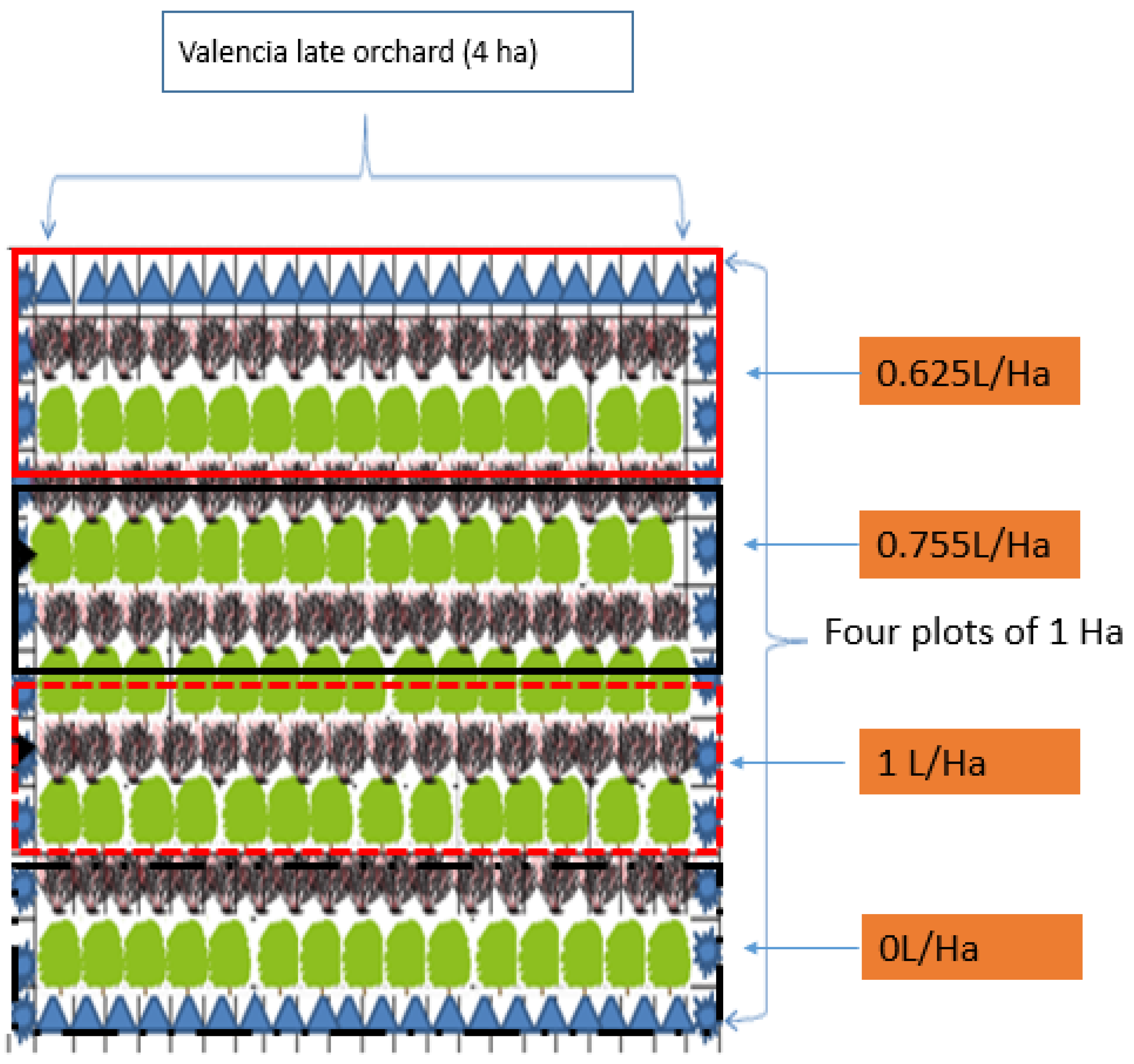 Agronomy 11 01562 g002