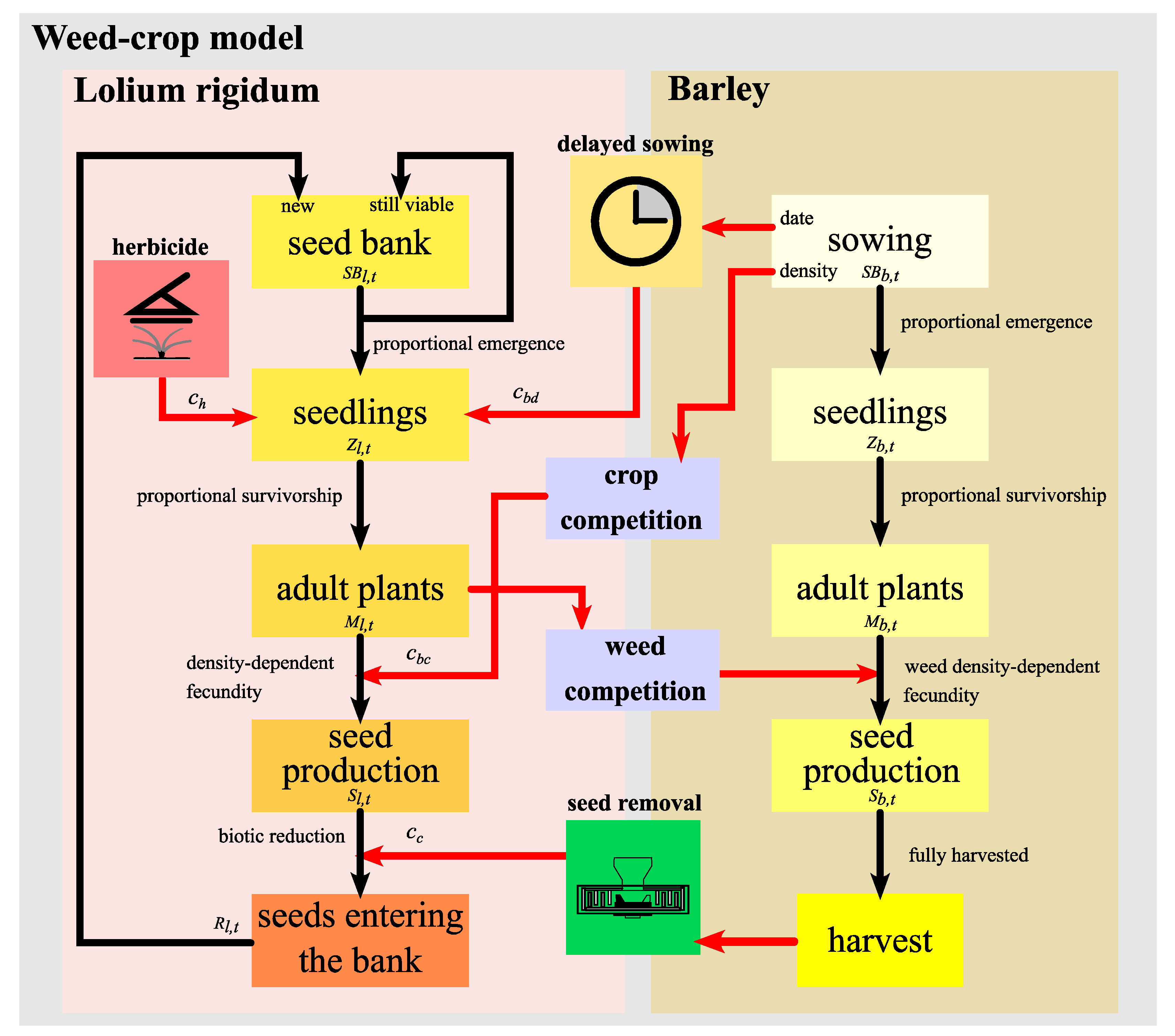 Agronomy 11 01565 g001